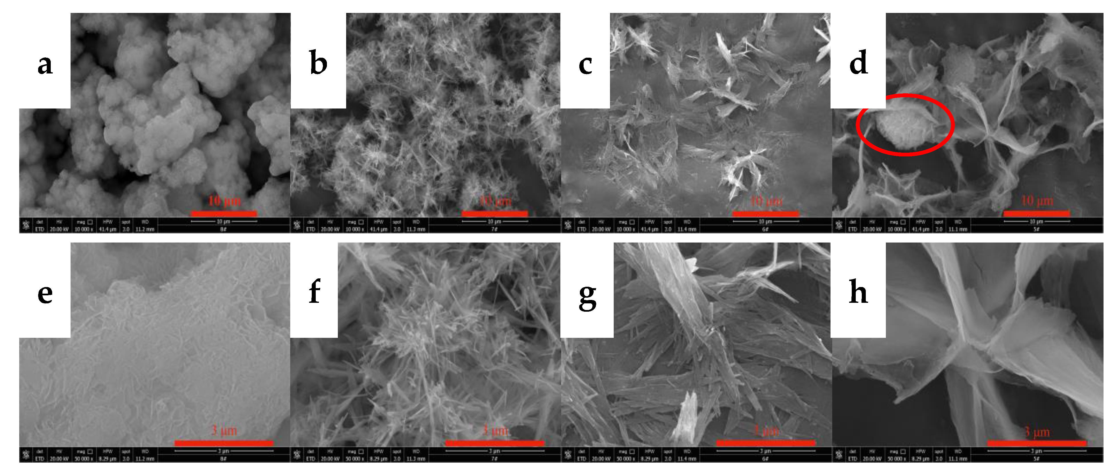 Nanomaterials 12 03440 g003