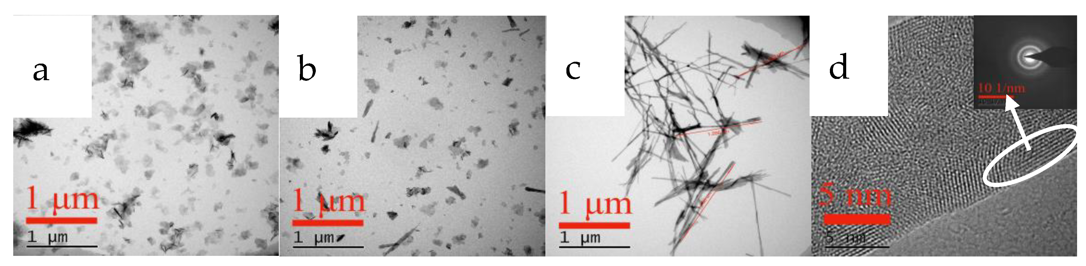 Nanomaterials 12 03440 g013