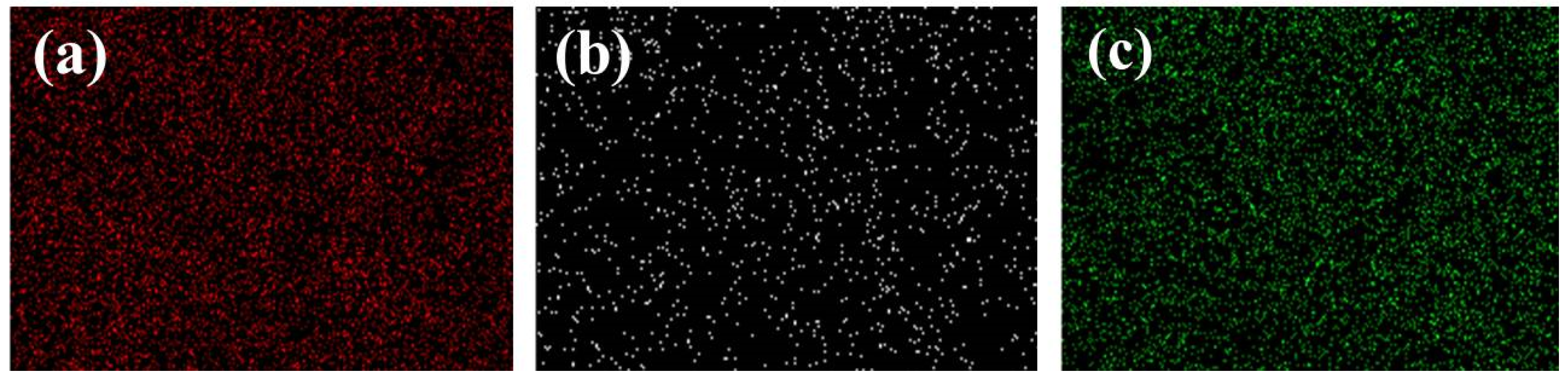 Nanomaterials 12 03442 g002