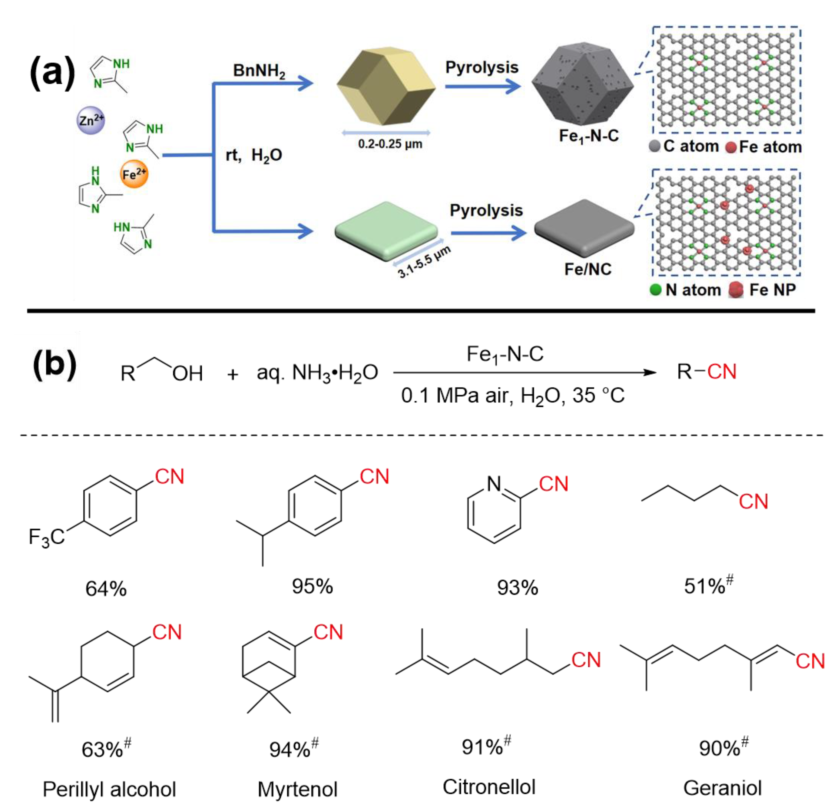 Nanomaterials 12 03462 g015