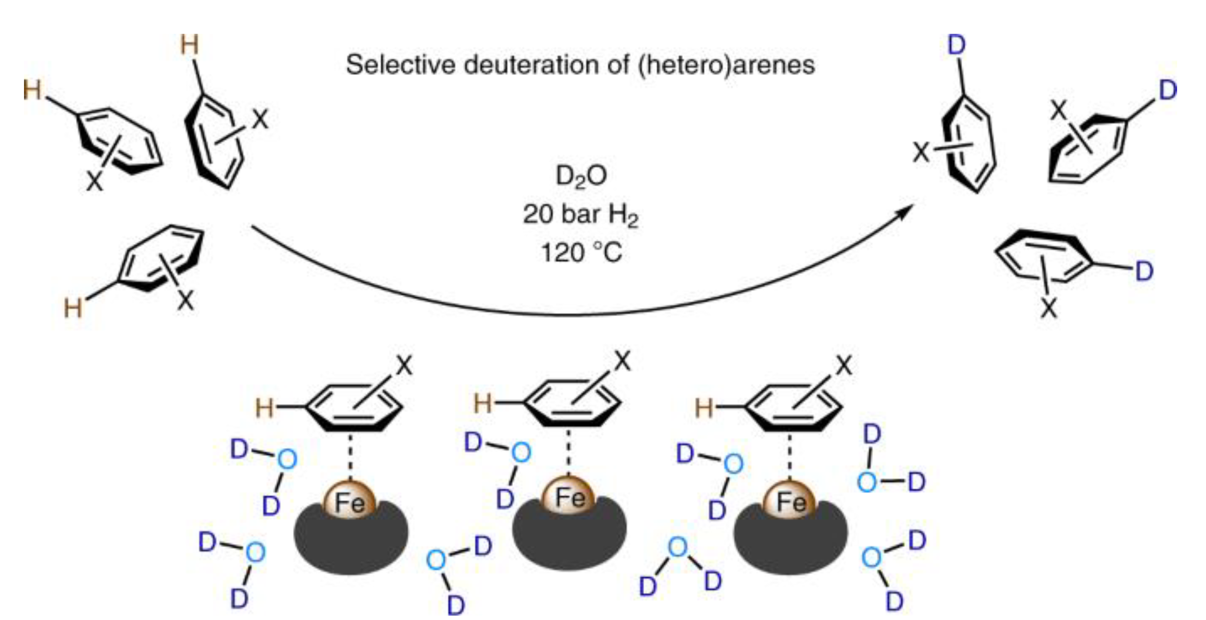 Nanomaterials 12 03462 g017