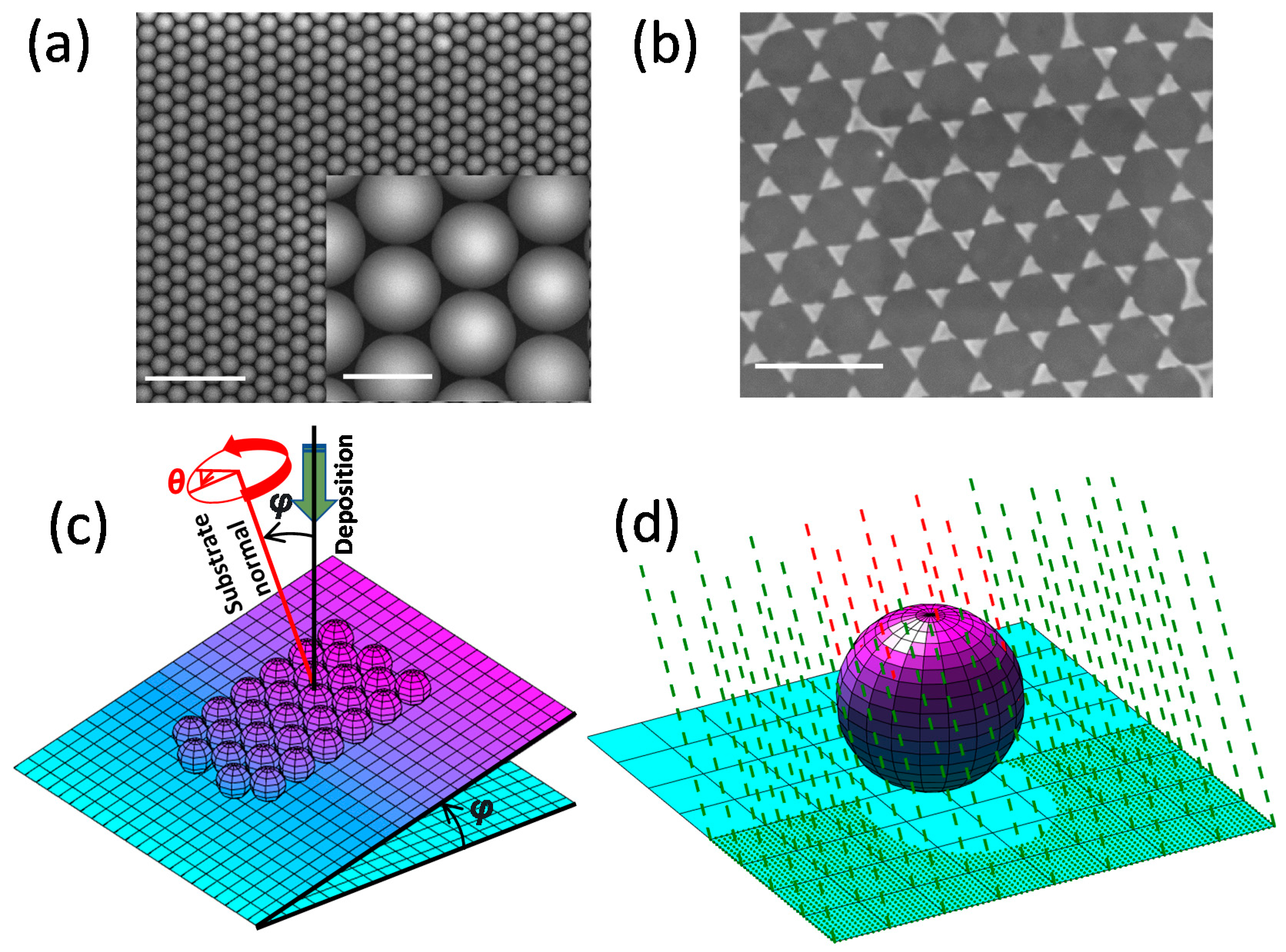 Nanomaterials 12 03464 g001