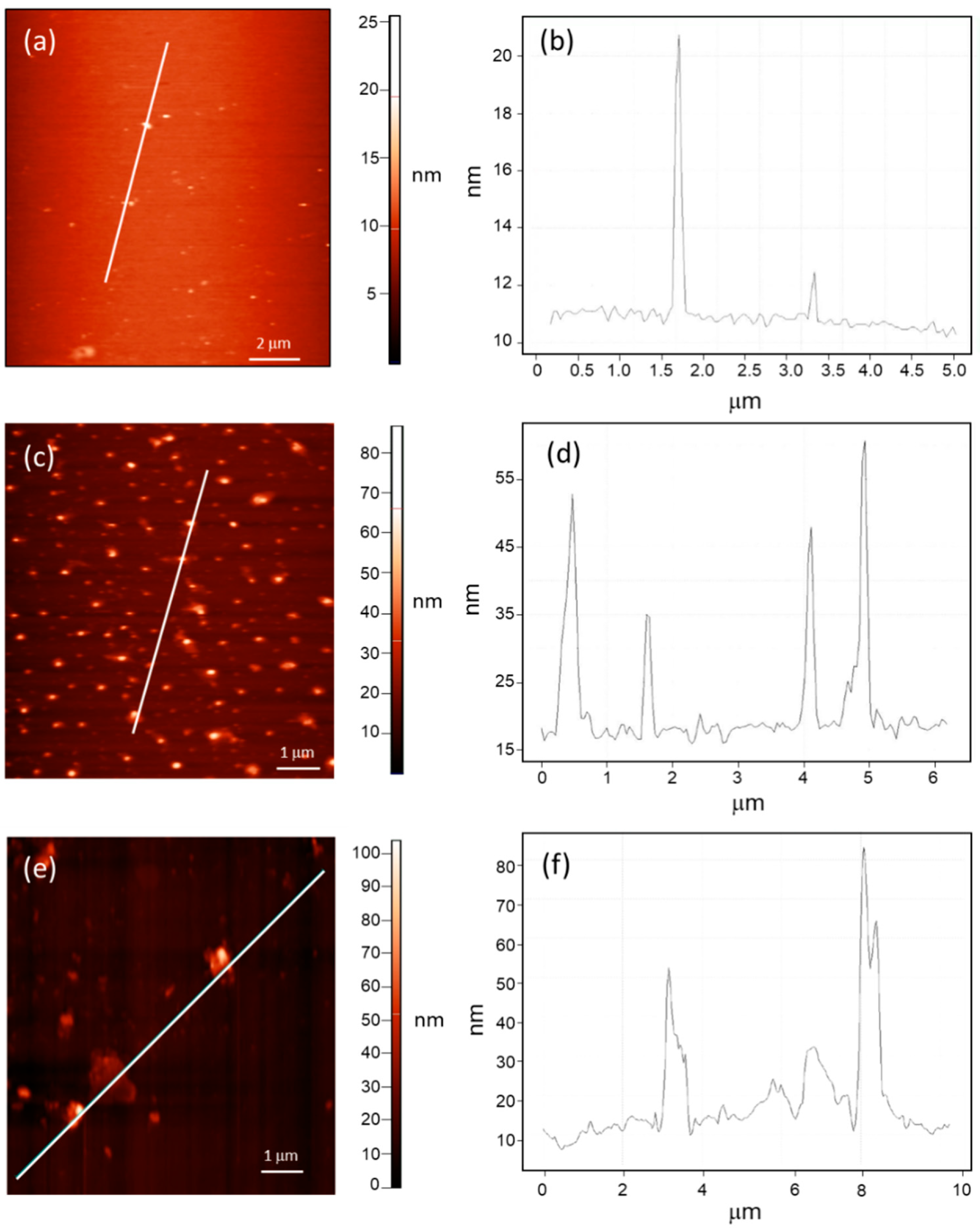 Nanomaterials 12 03466 g005 Nanomaterials 12 03466 g005