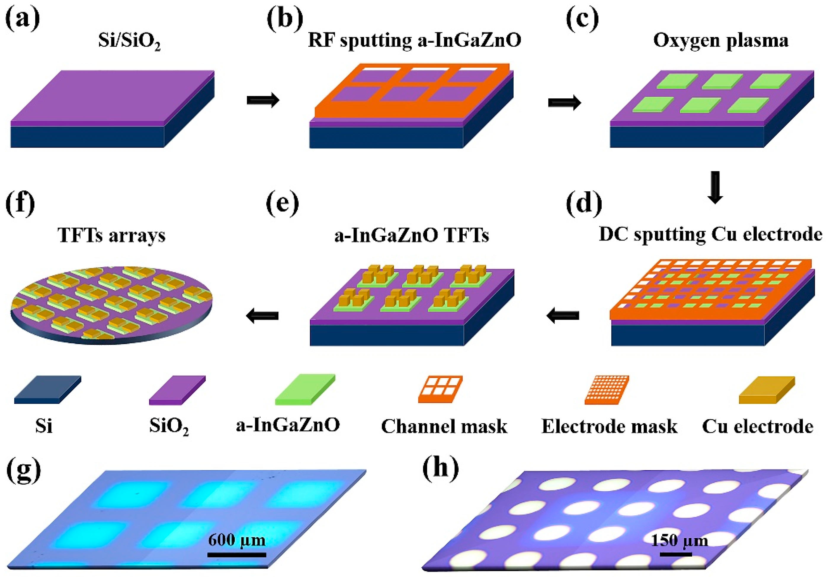 Nanomaterials 12 03481 g001