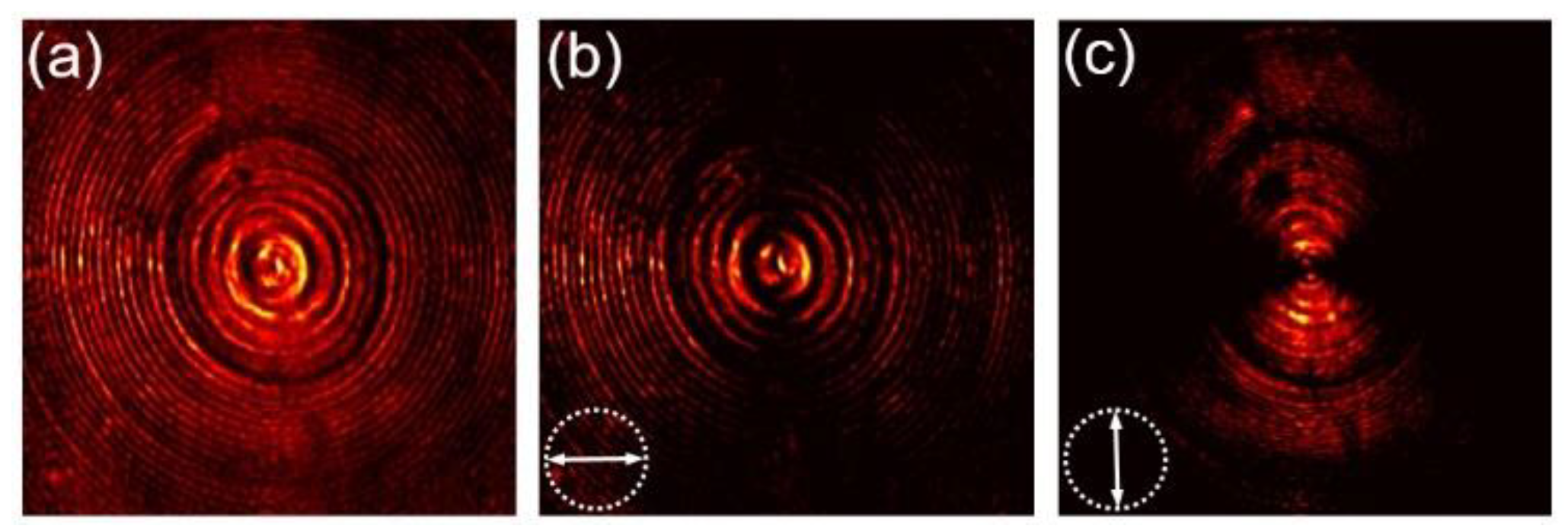 Nanomaterials 12 03485 g004