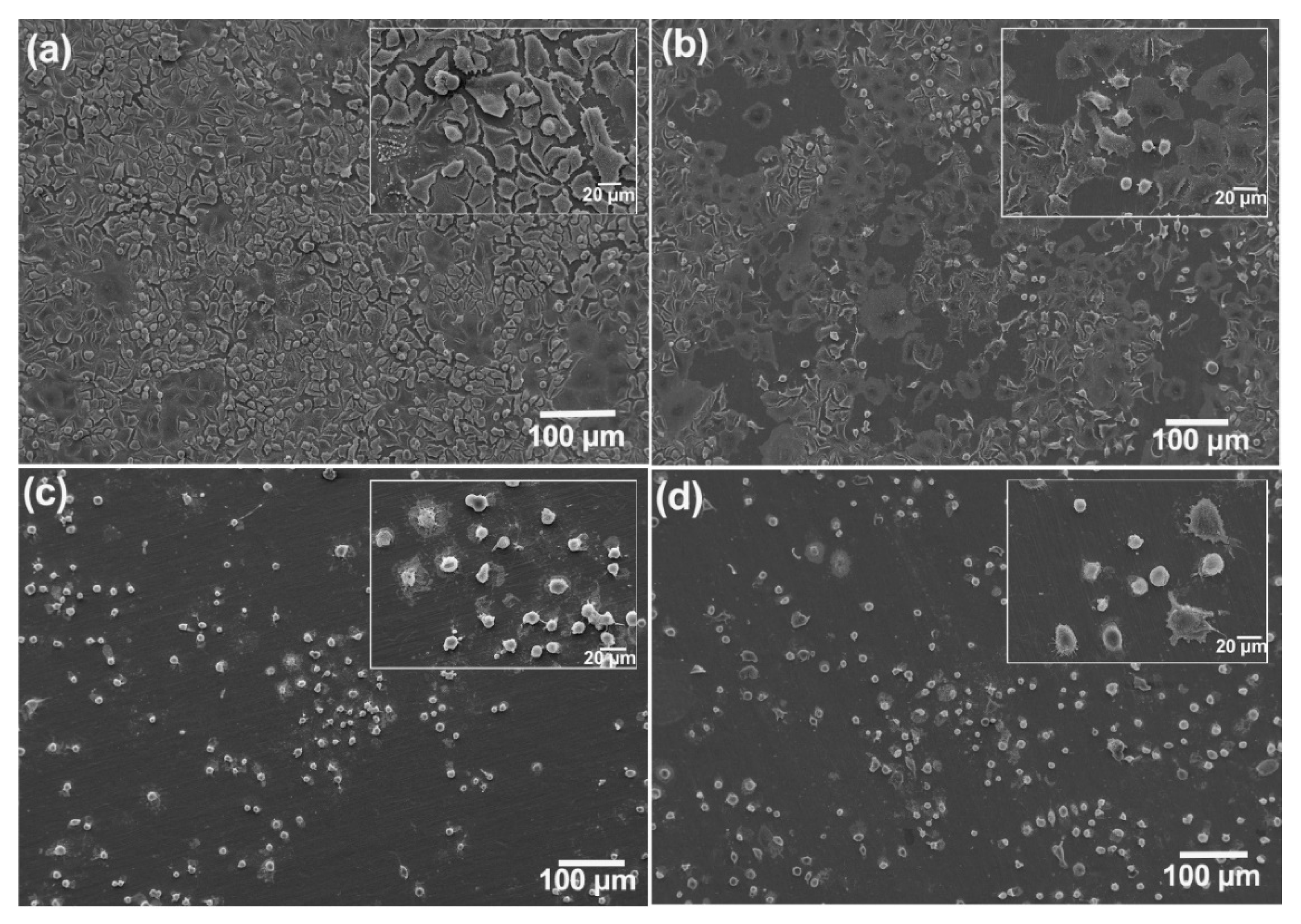Nanomaterials 12 03493 g005
