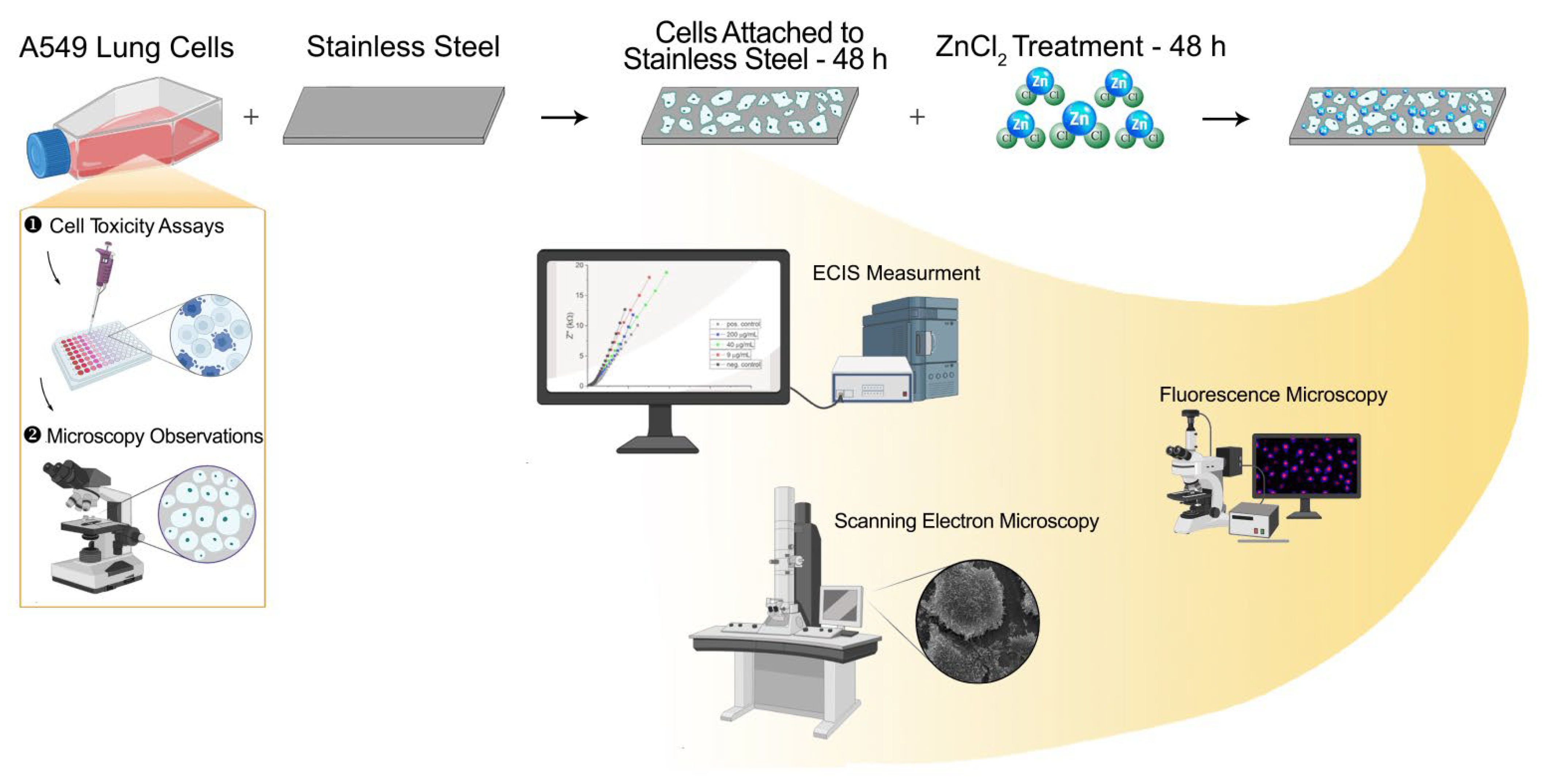 Nanomaterials 12 03493 sch001
