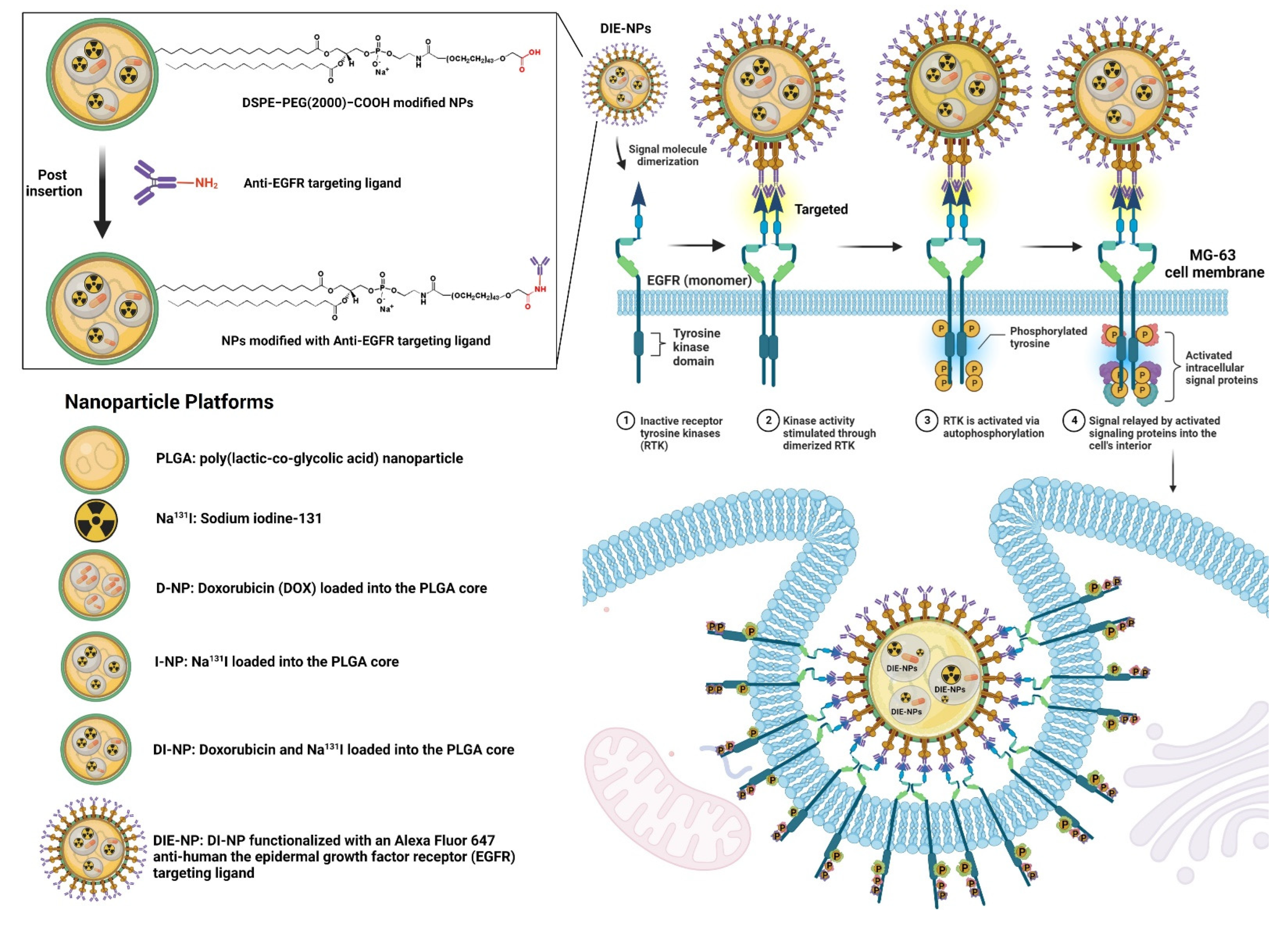 Nanomaterials 12 03517 g001