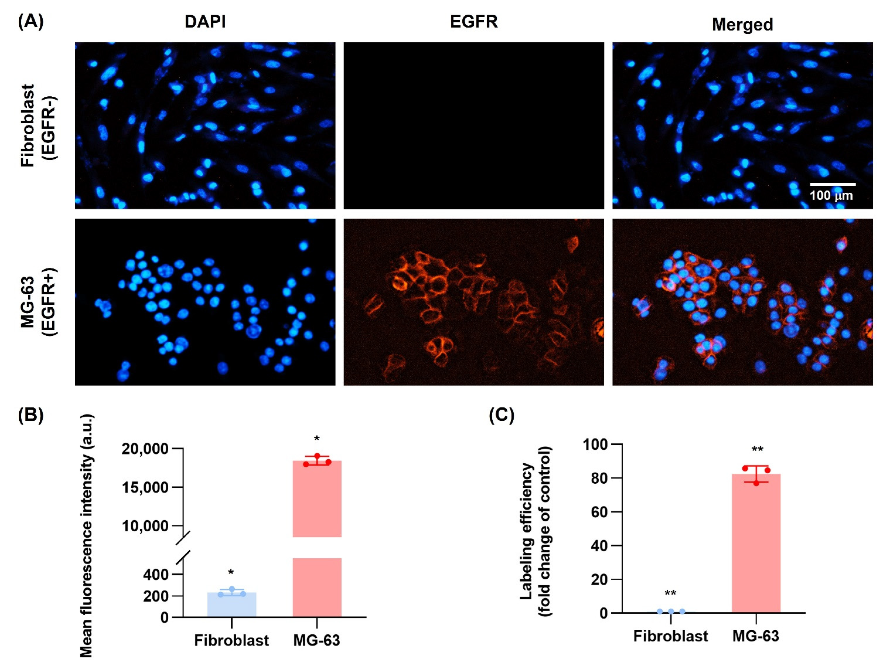 Nanomaterials 12 03517 g007