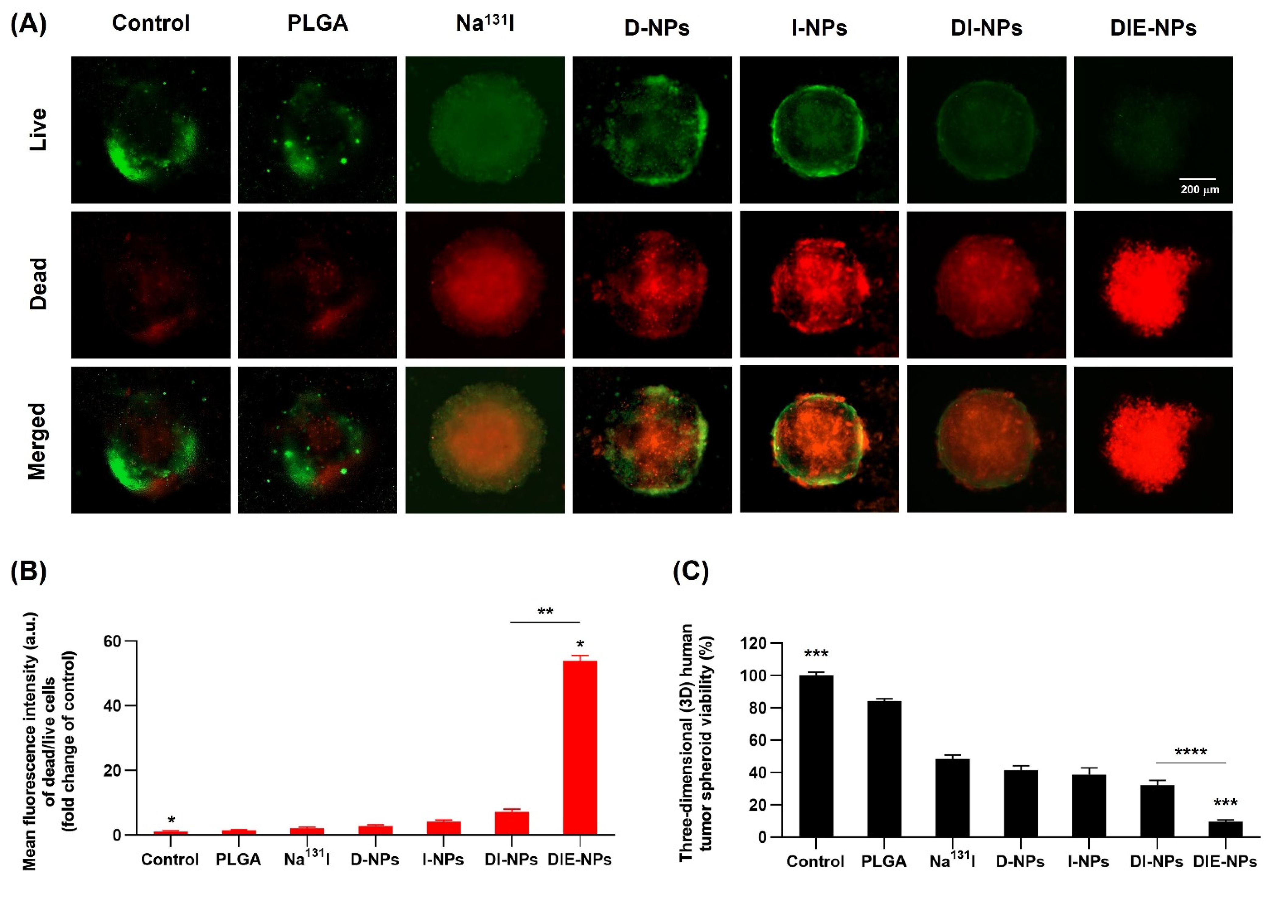 Nanomaterials 12 03517 g009