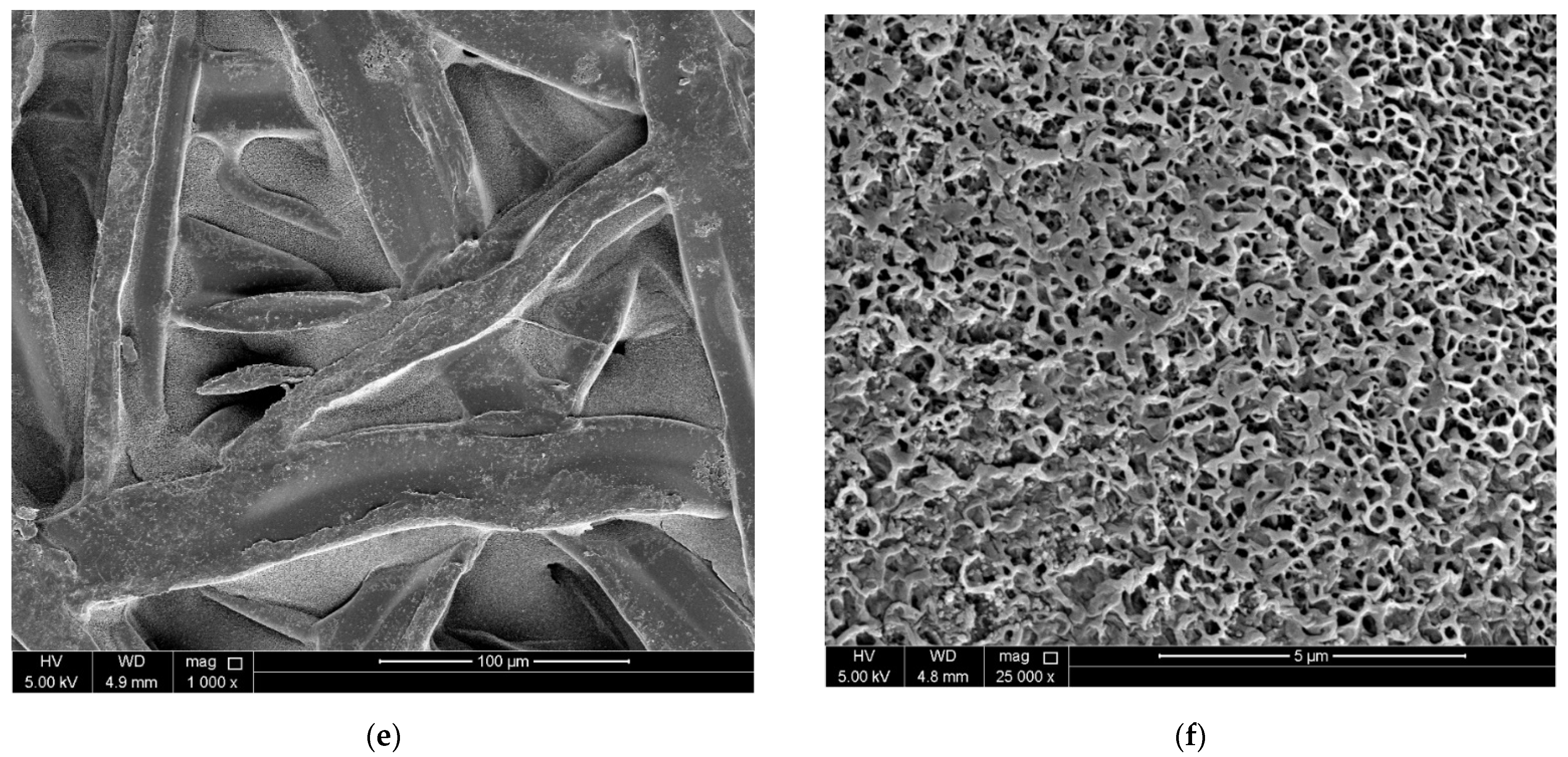 Nanomaterials 12 03519 g009b Nanomaterials 12 03519 g009b