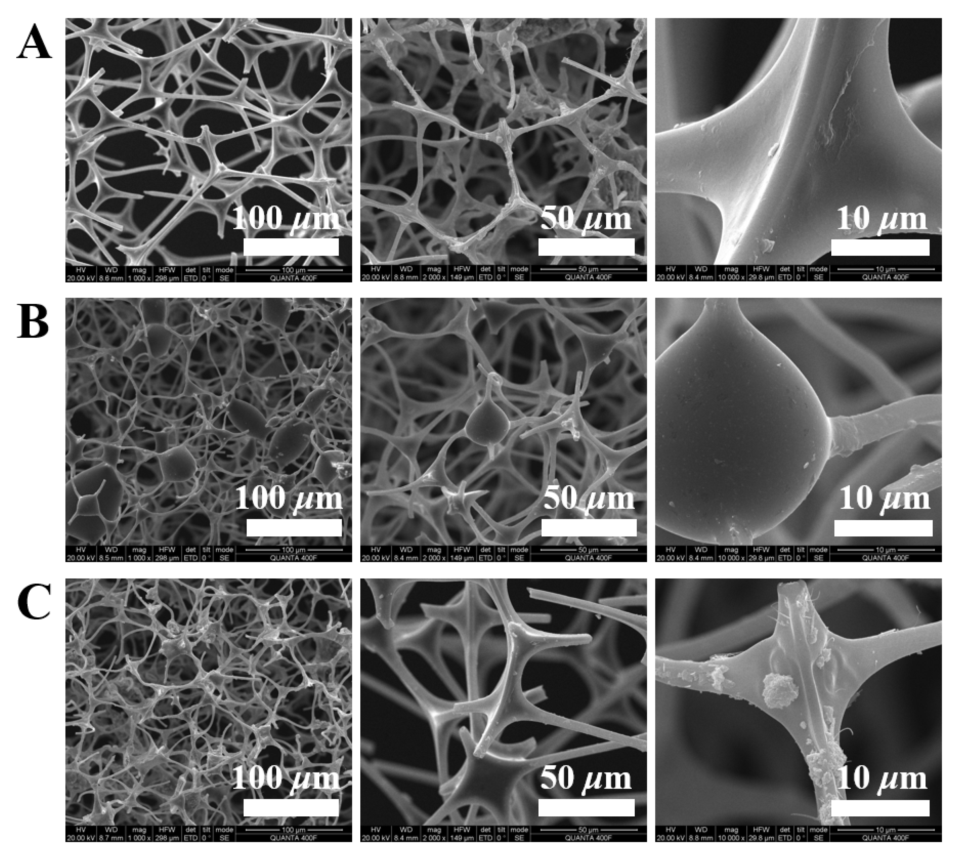 Nanomaterials 12 03527 g002 Nanomaterials 12 03527 g002