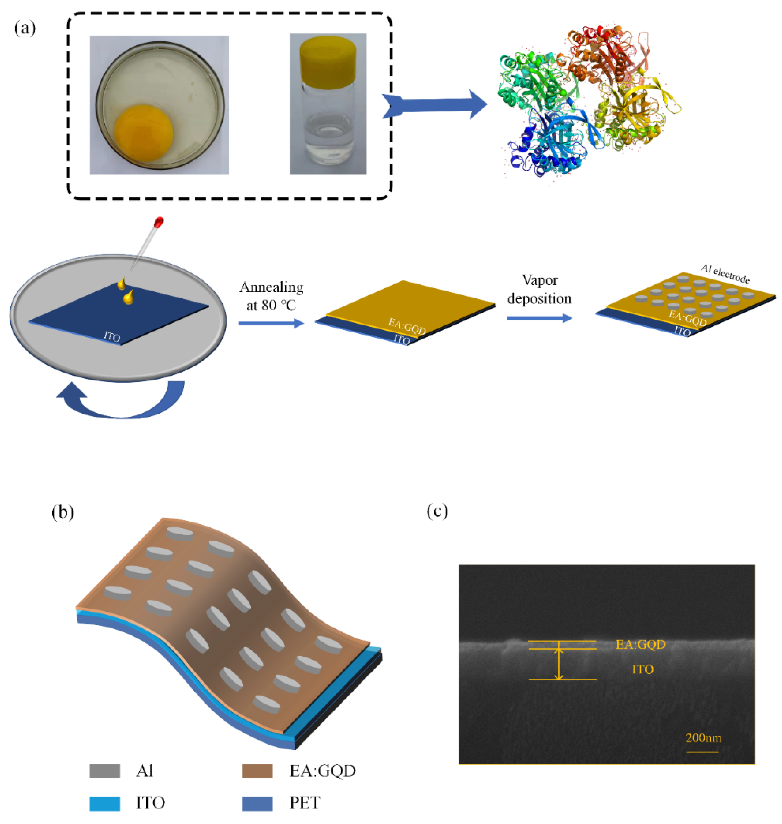 Nanomaterials 12 03531 g001