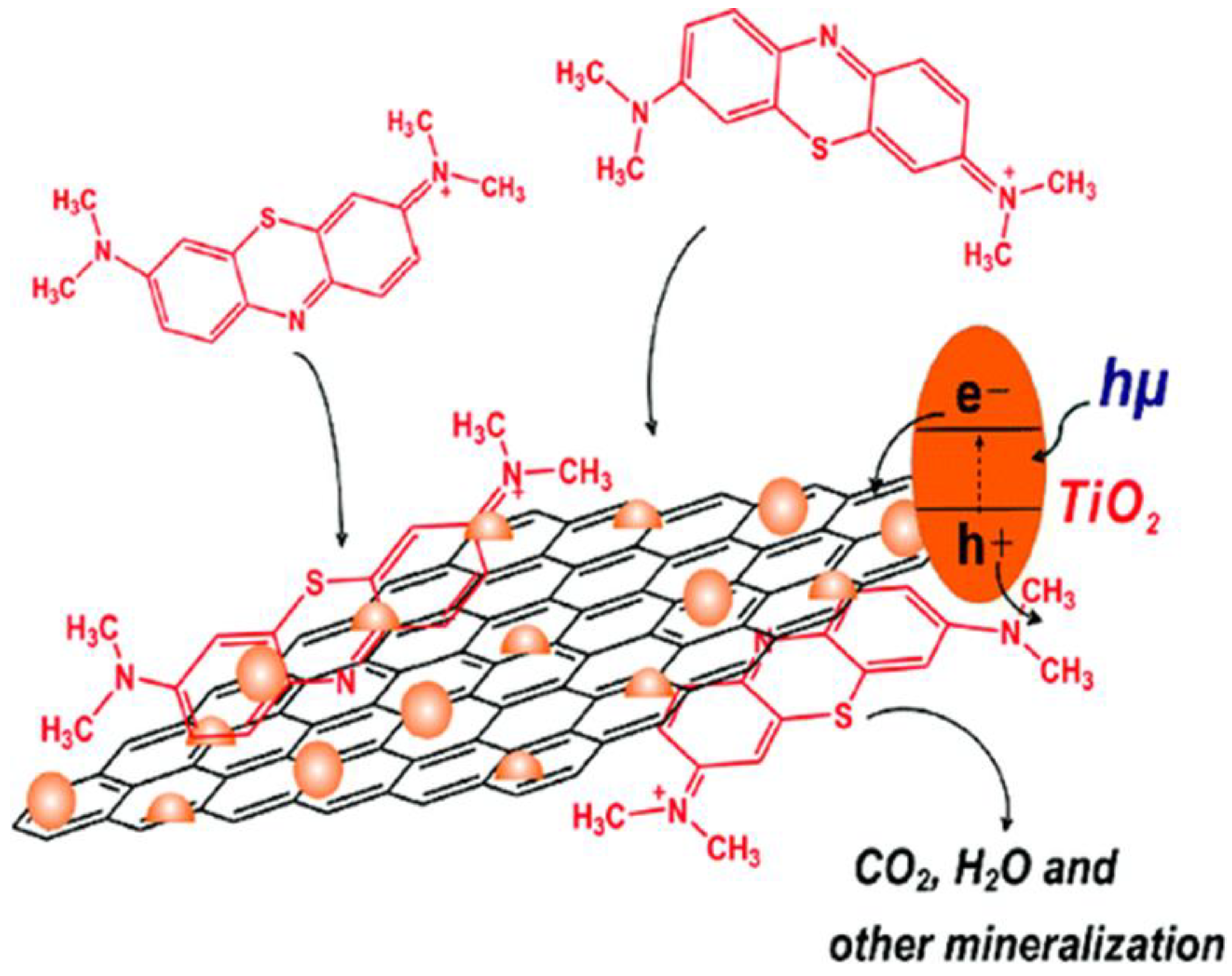 Nanomaterials 12 03536 g005
