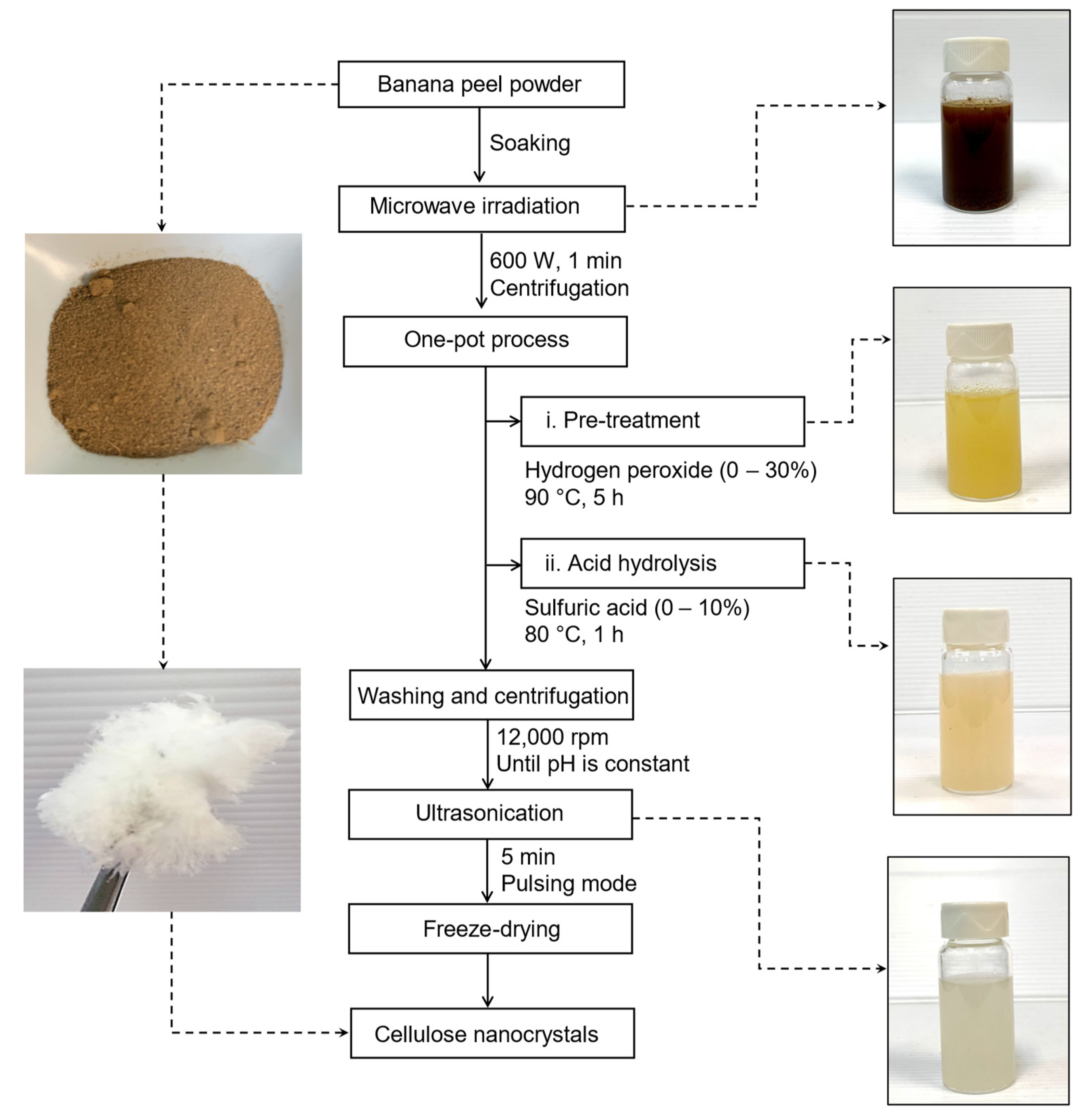 Nanomaterials 12 03537 g001