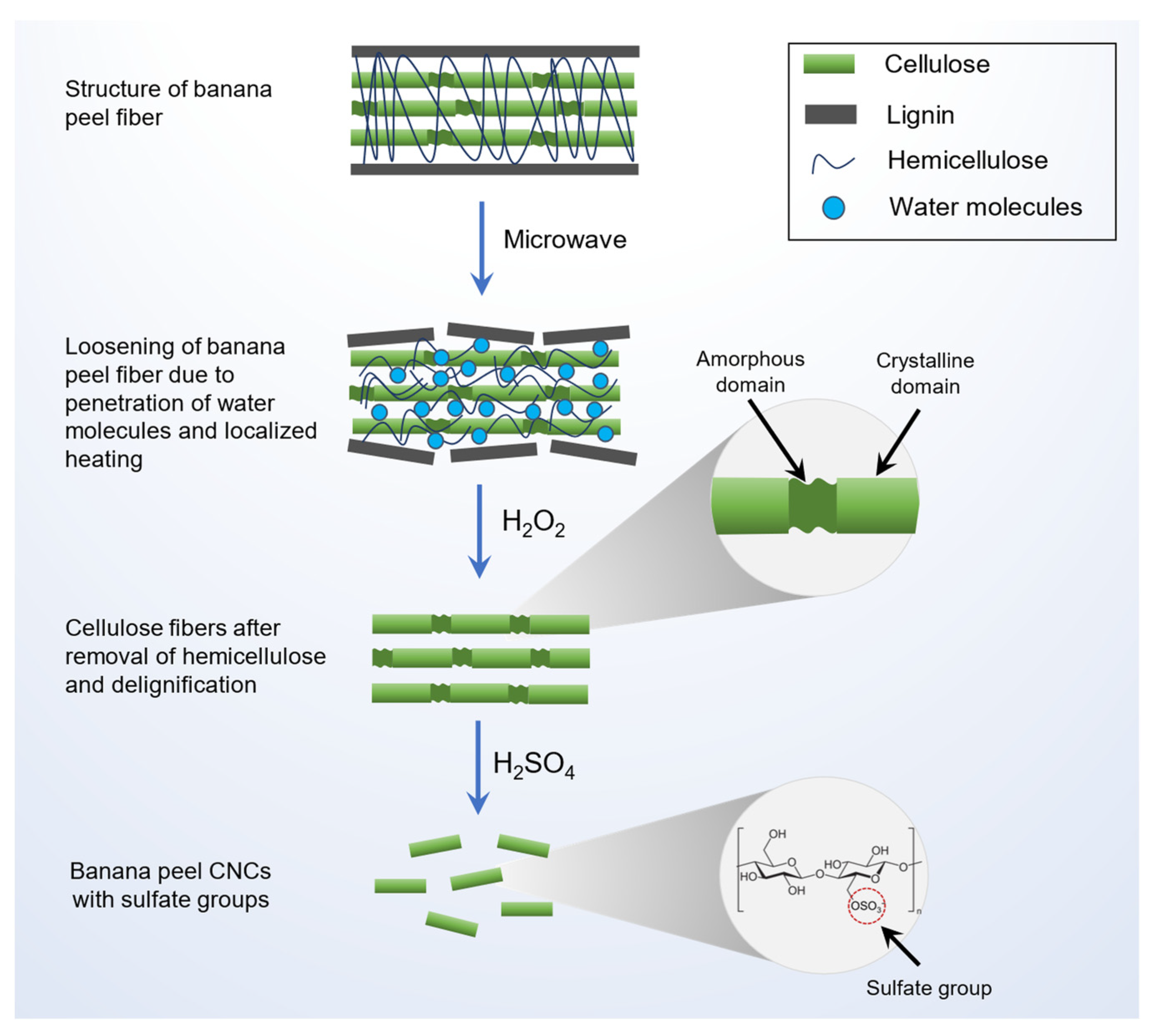 Nanomaterials 12 03537 g002