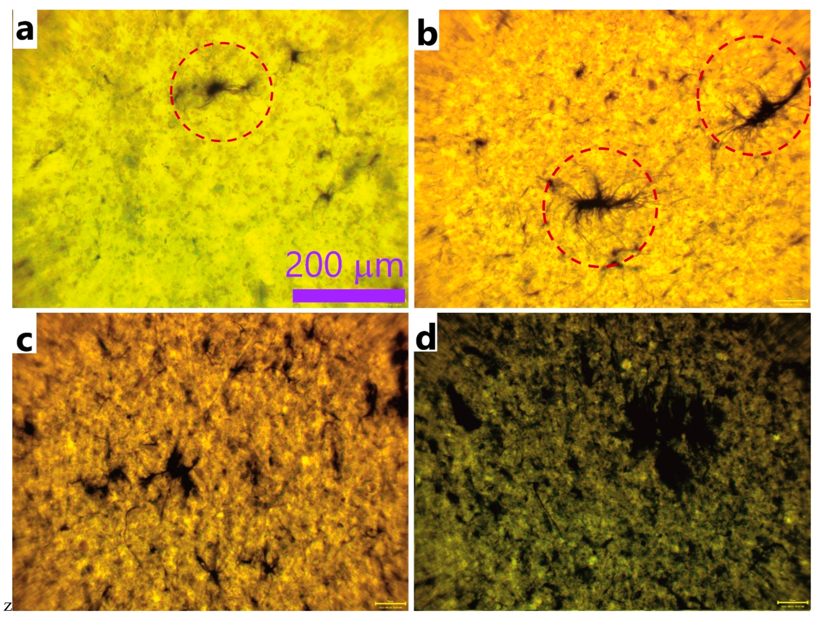 Nanomaterials 12 03538 g003