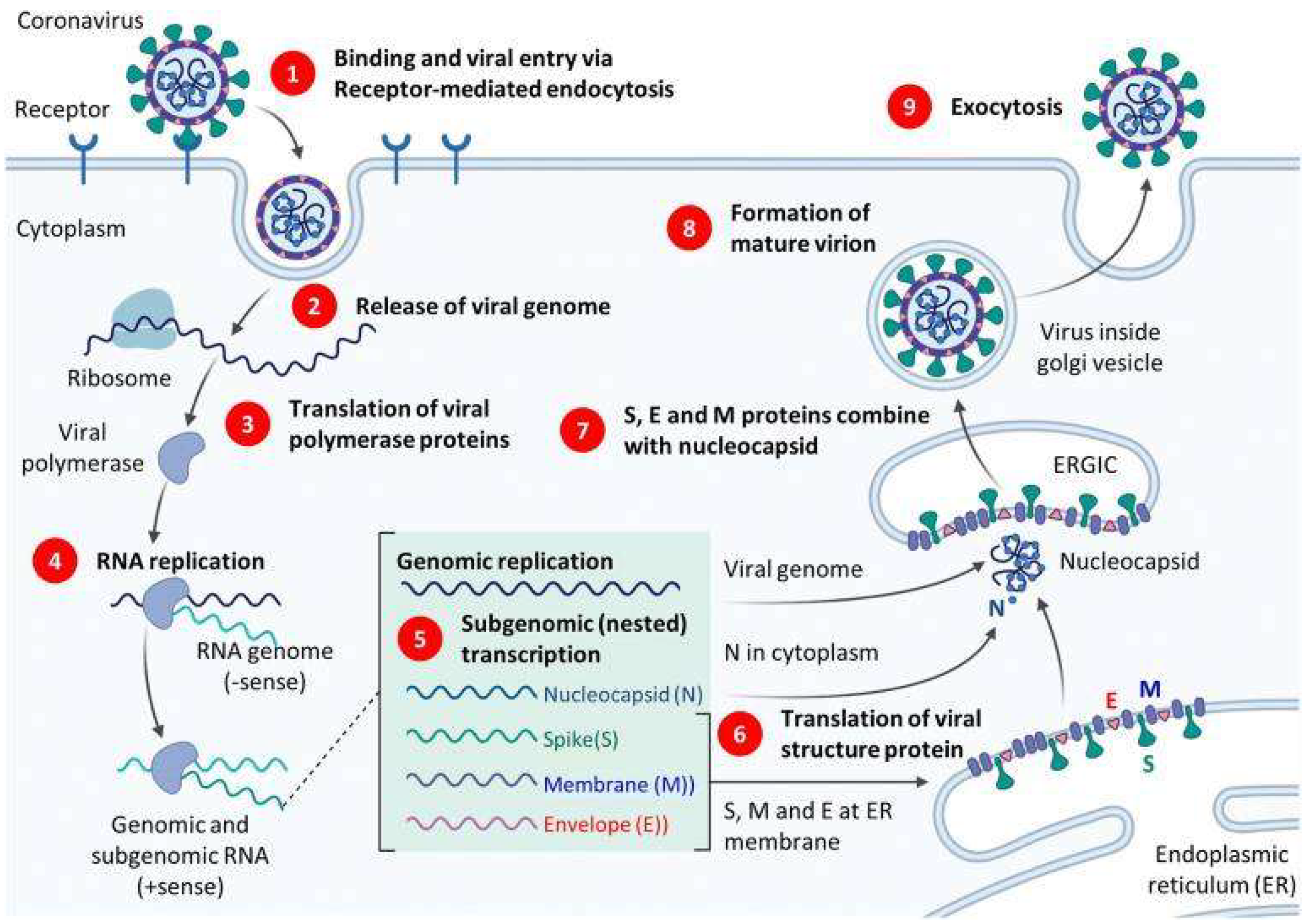 Nanomaterials 12 03550 g002