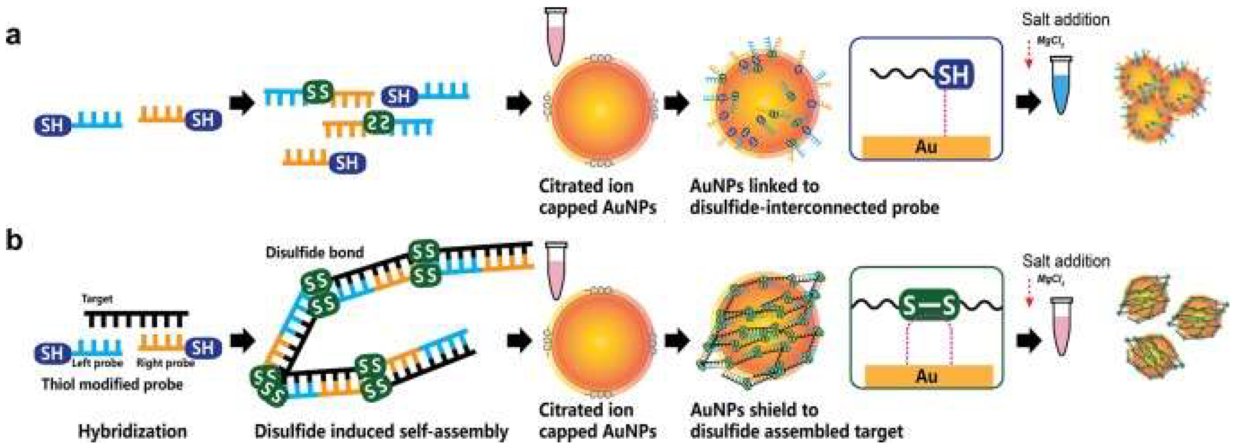 Nanomaterials 12 03550 g003