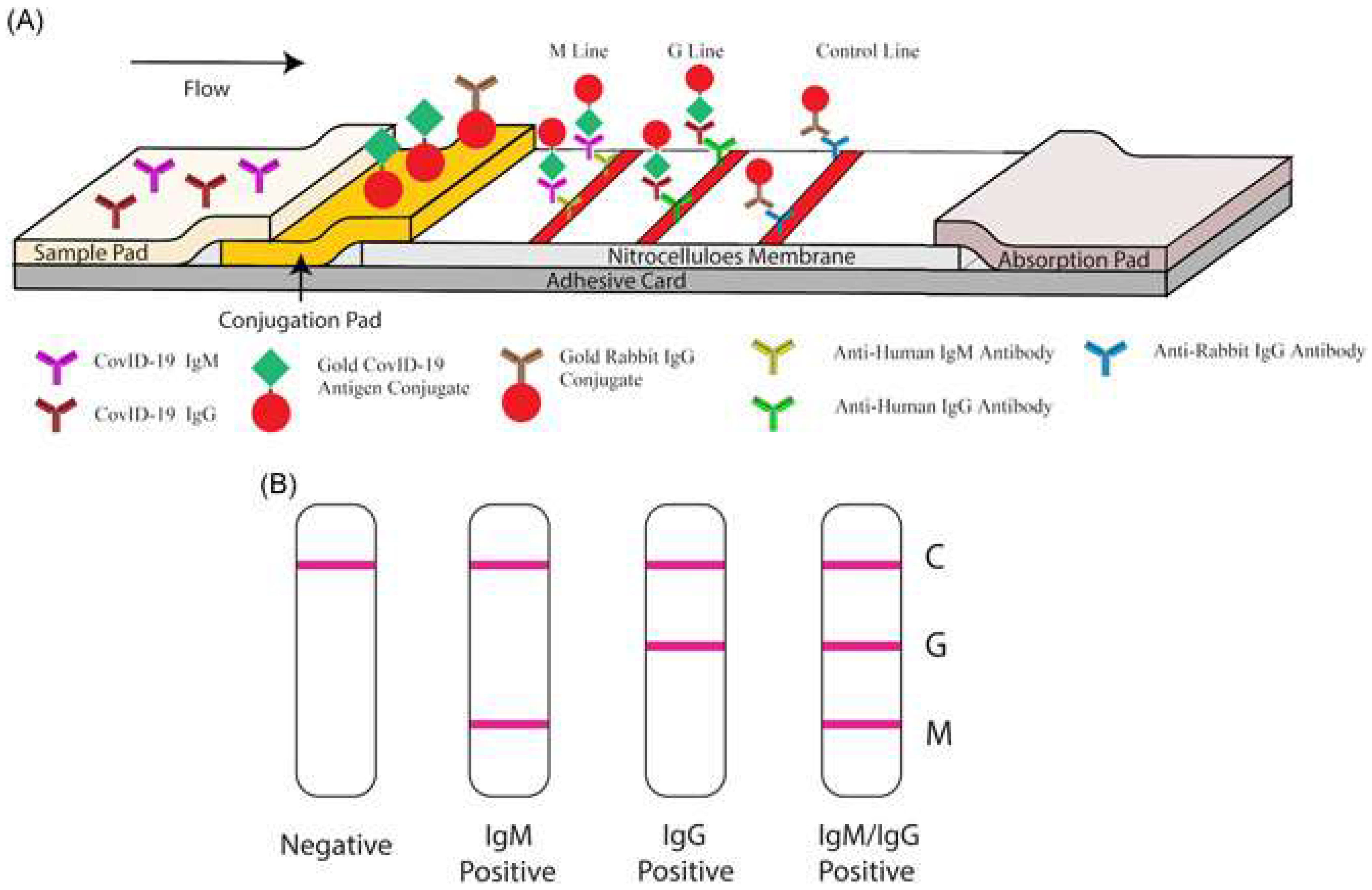 Nanomaterials 12 03550 g006