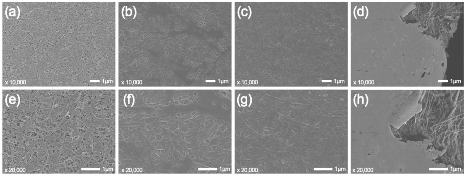 Nanomaterials 12 03552 g008 Nanomaterials 12 03552 g008