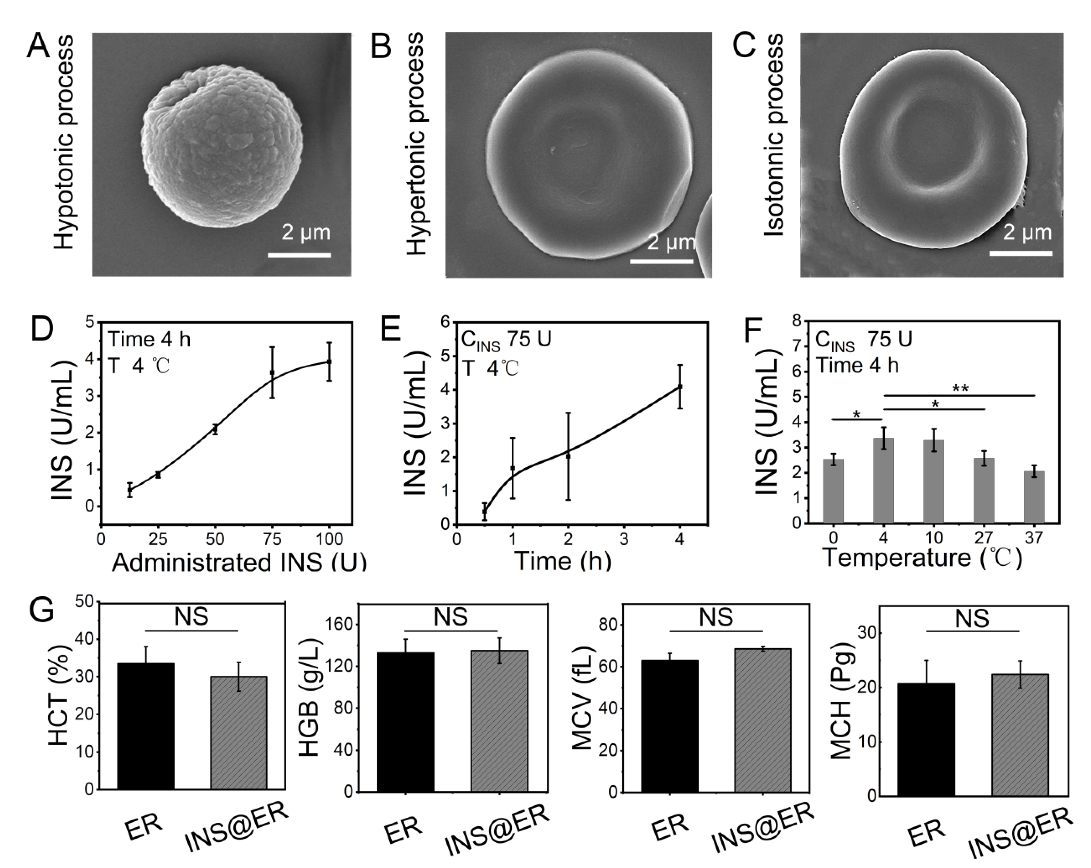 Nanomaterials 12 03556 g001