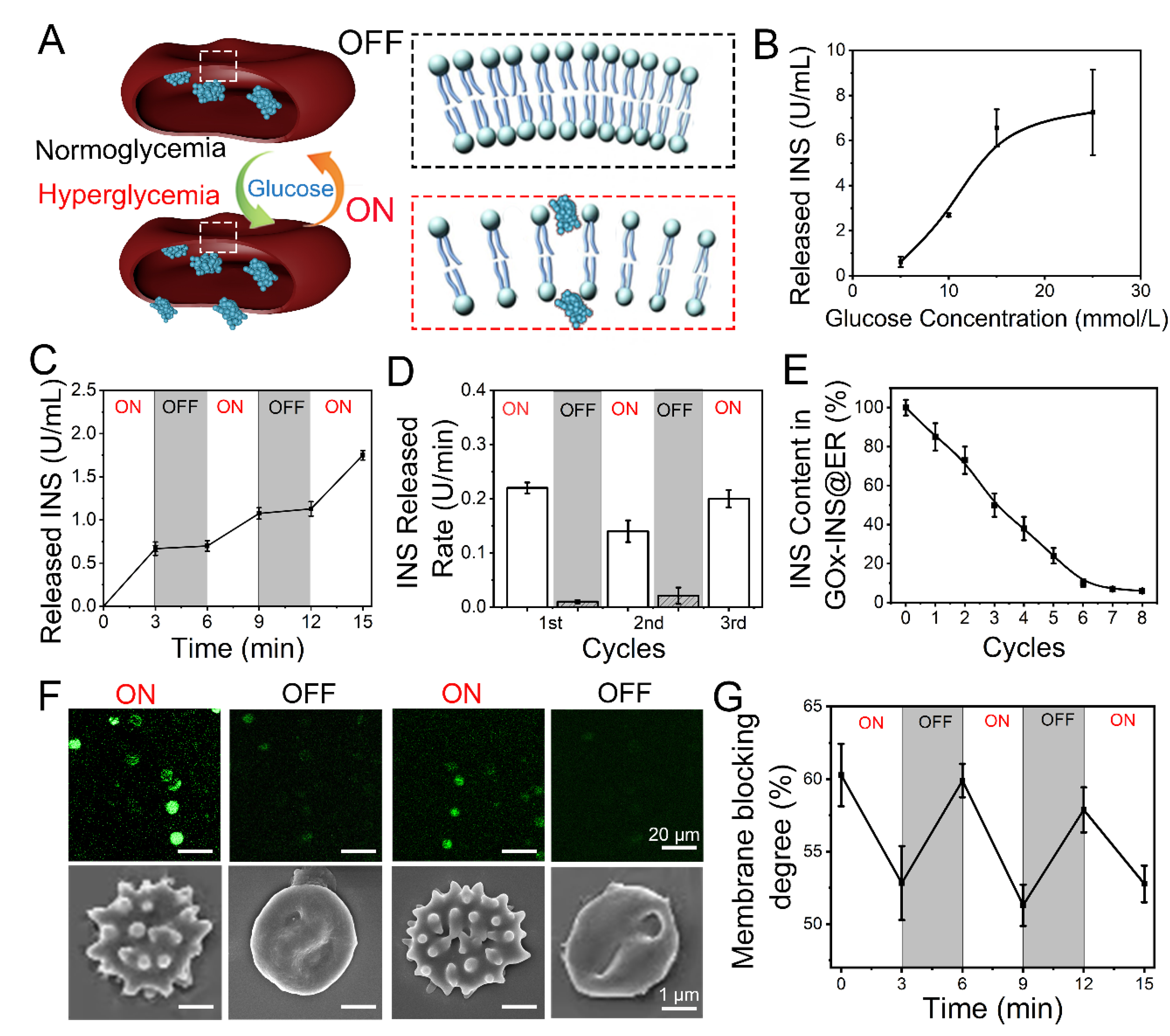Nanomaterials 12 03556 g004