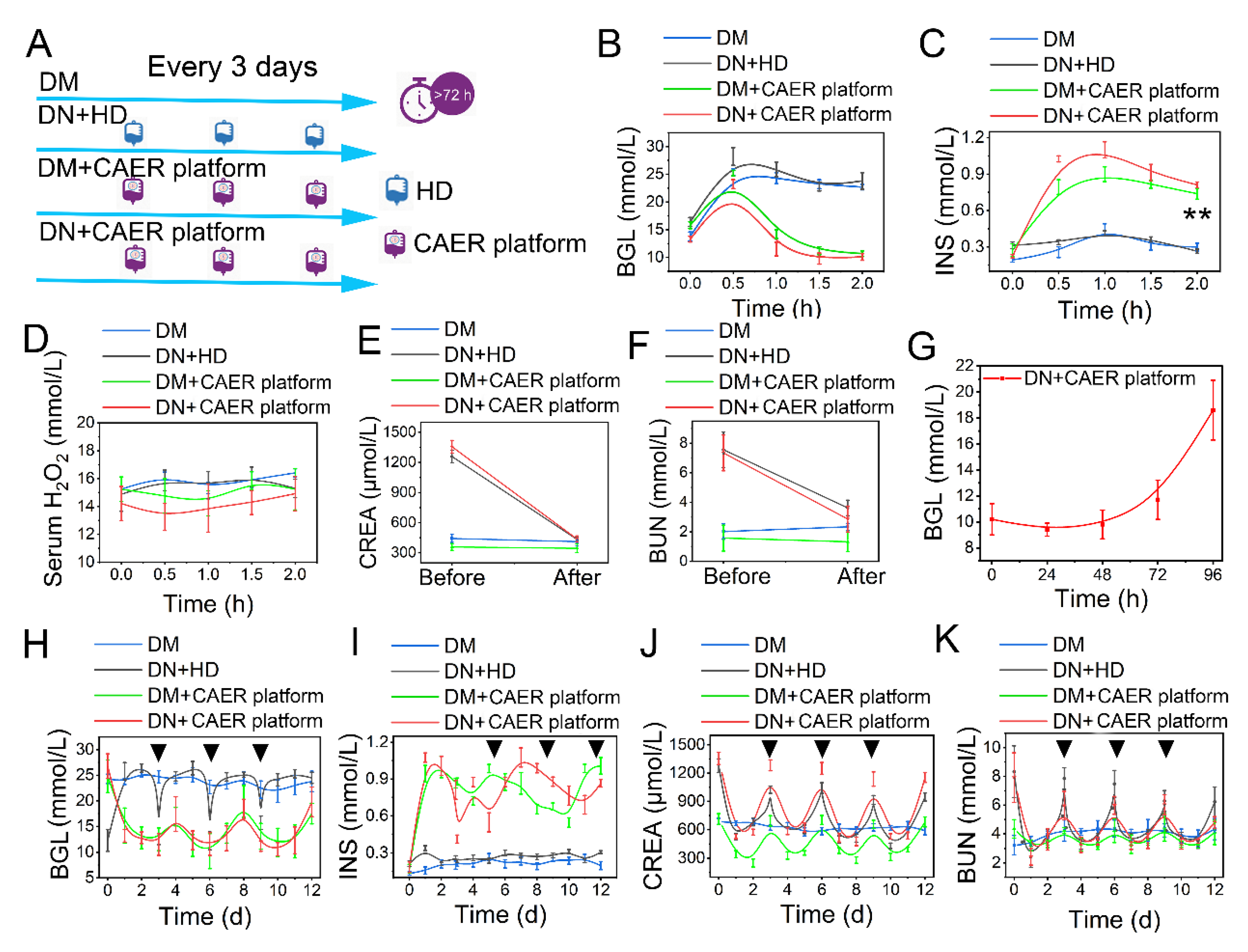 Nanomaterials 12 03556 g005