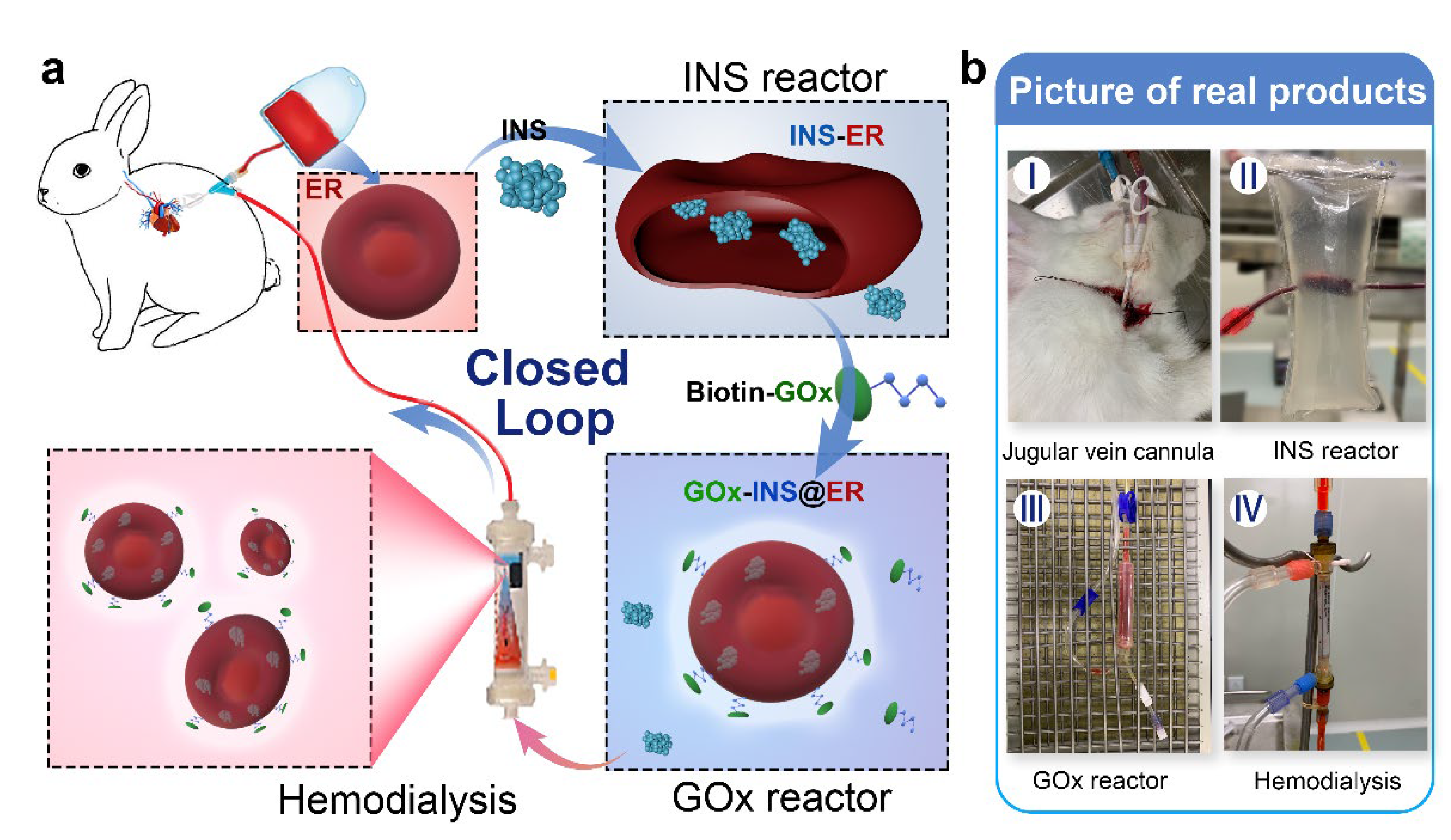 Nanomaterials 12 03556 sch001