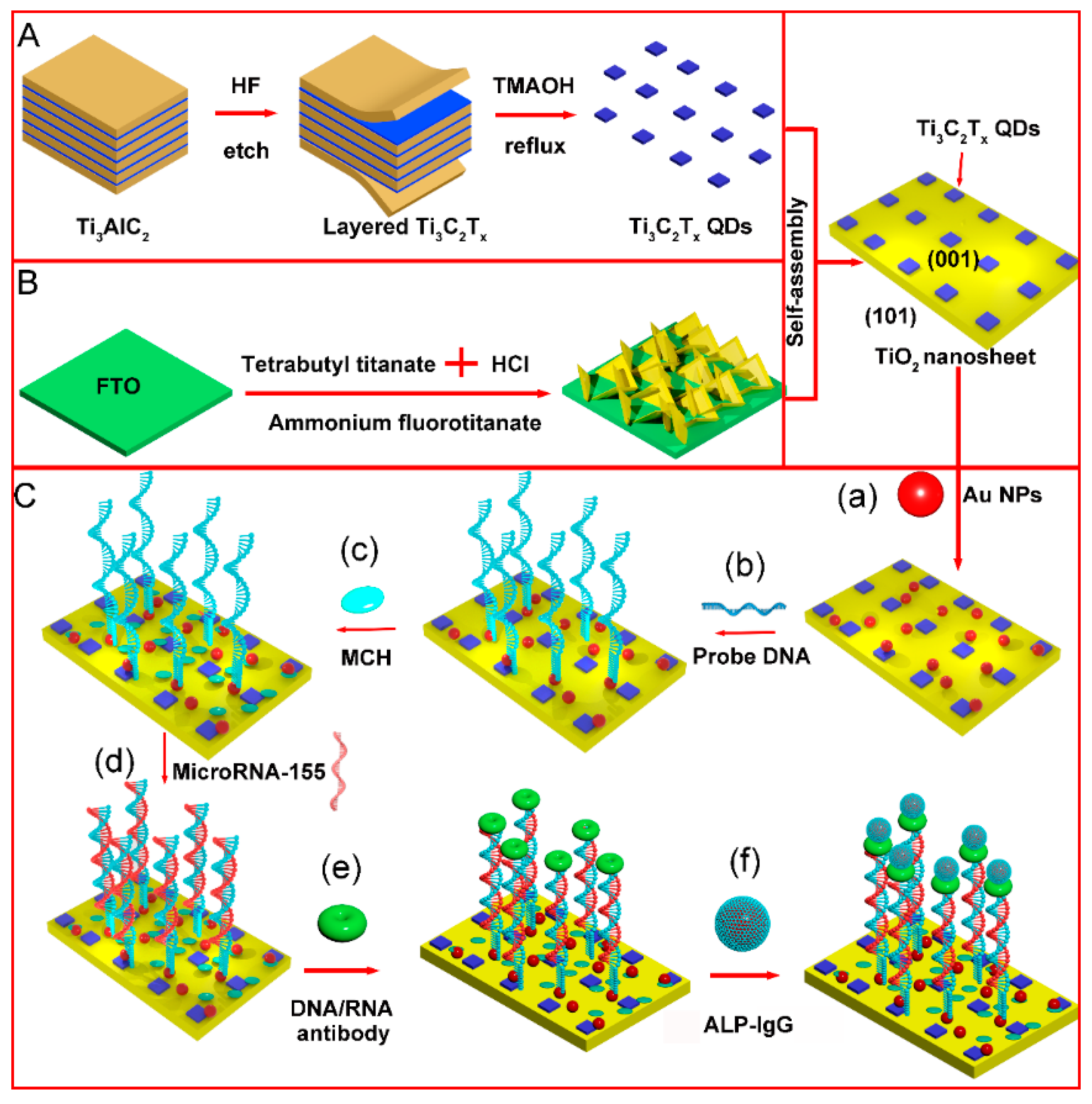 Nanomaterials 12 03557 g001