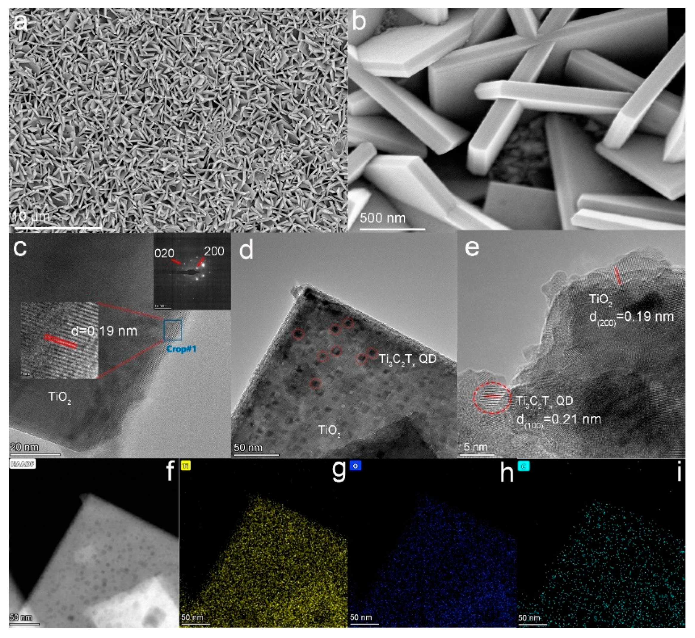 Nanomaterials 12 03557 g002