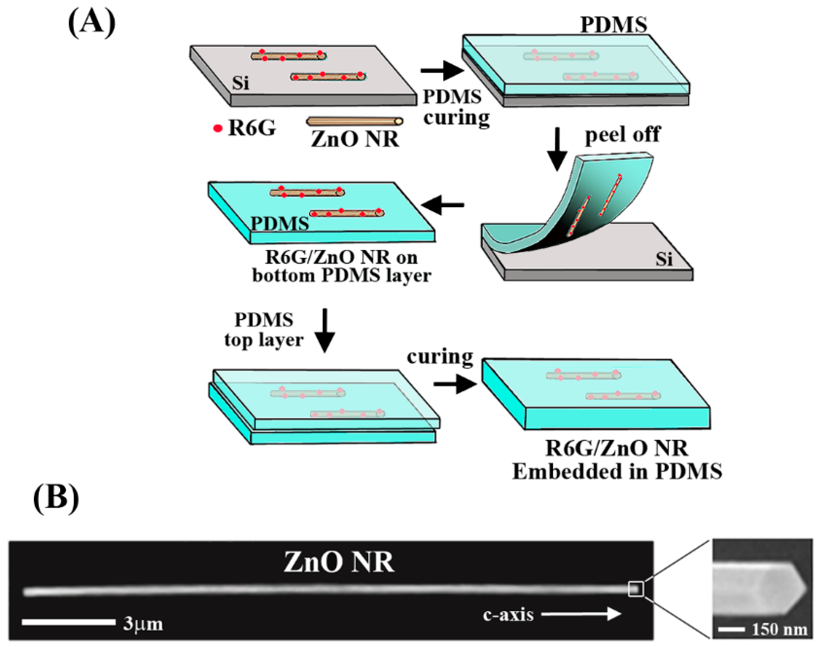 Nanomaterials 12 03558 g001