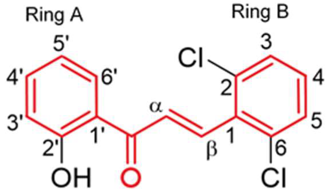 Nanomaterials 12 03561 g001