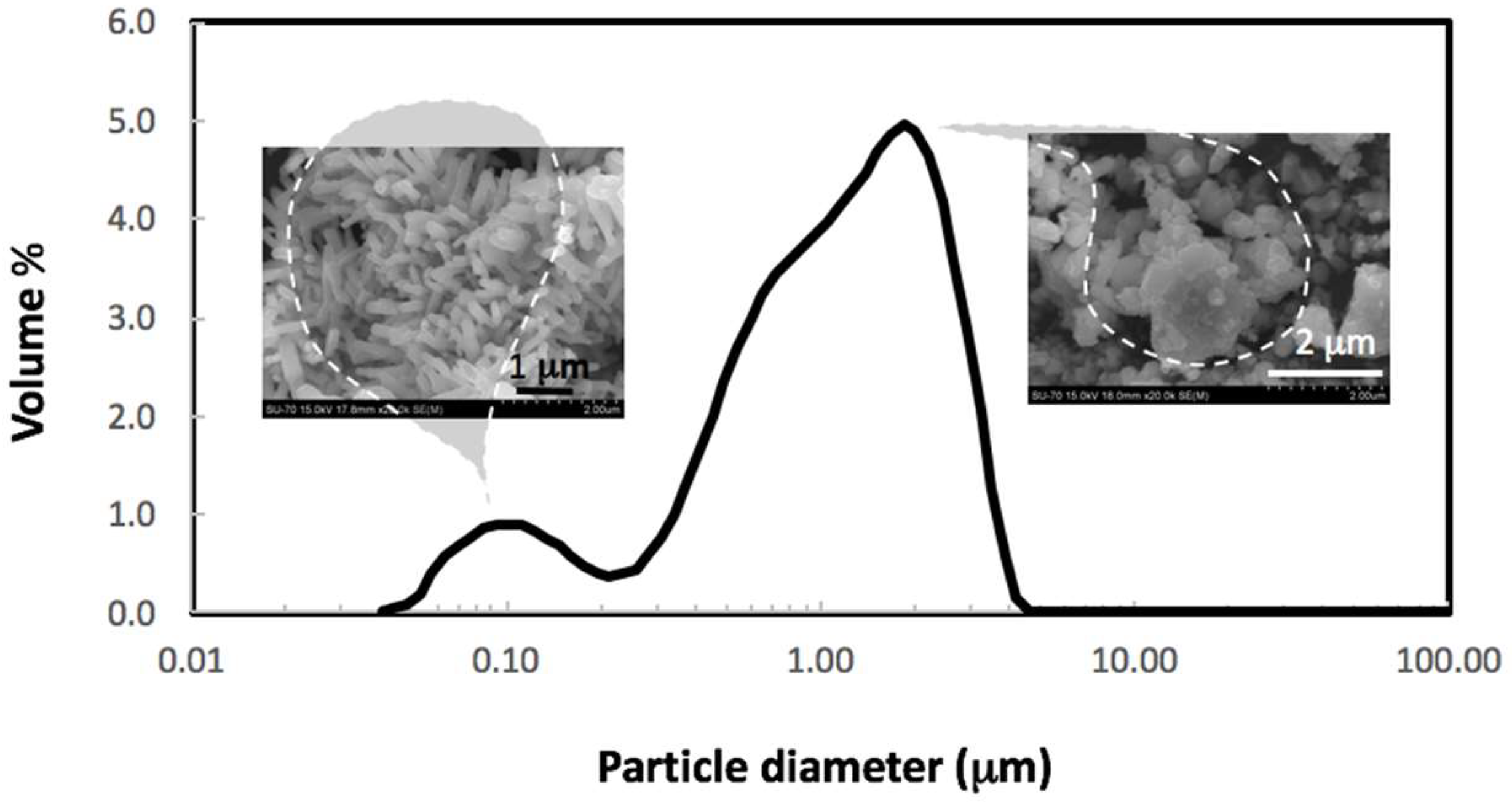 Nanomaterials 12 03561 g002