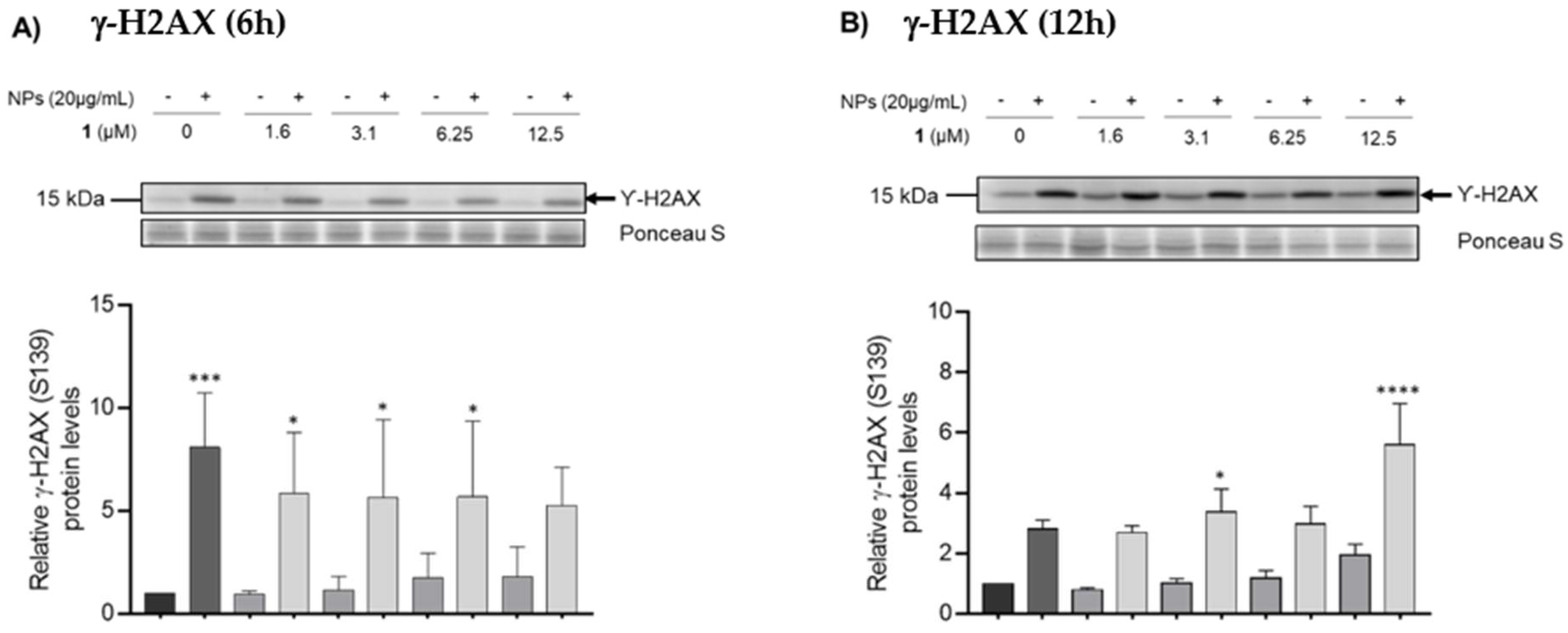 Nanomaterials 12 03561 g006