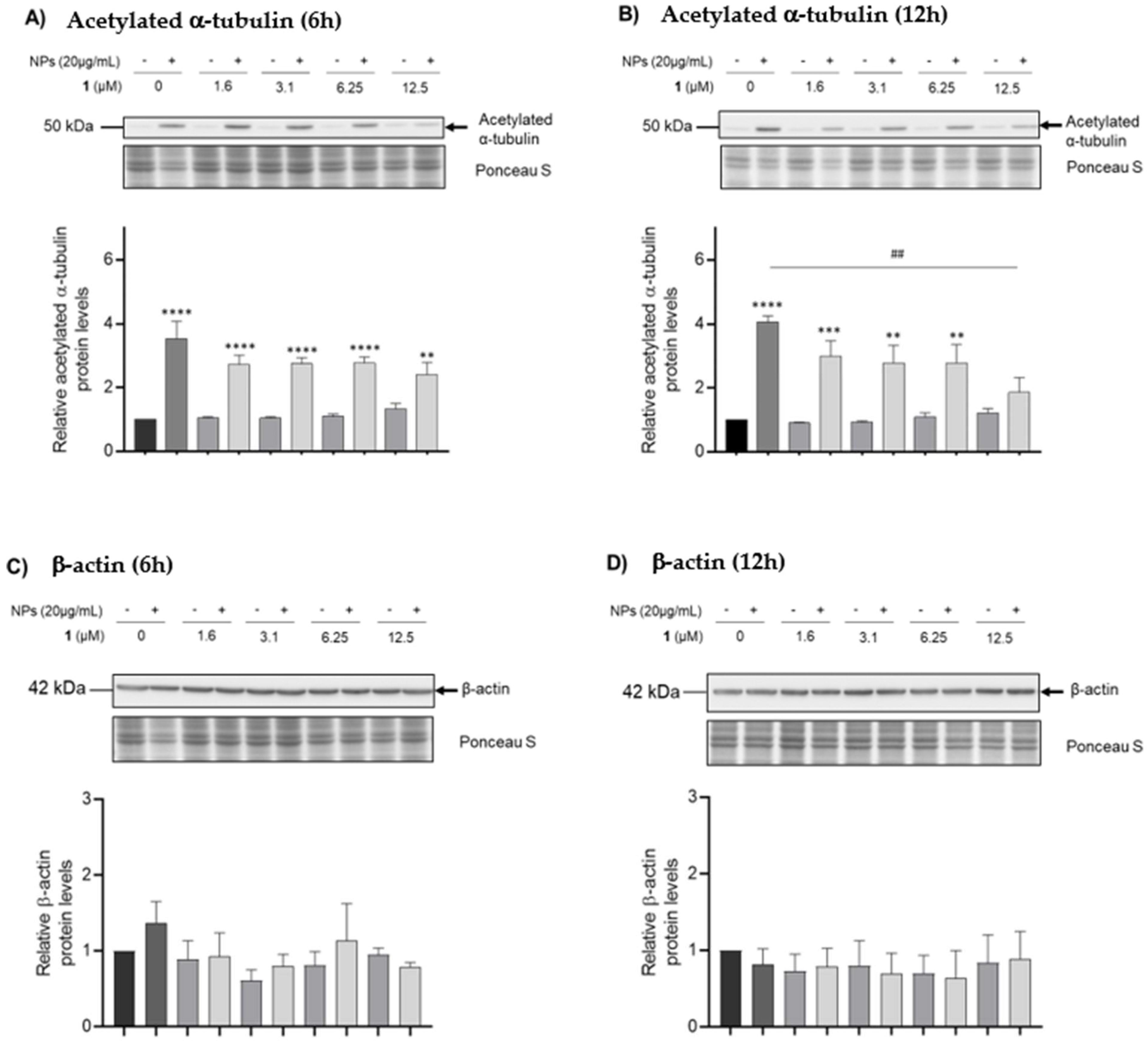 Nanomaterials 12 03561 g007