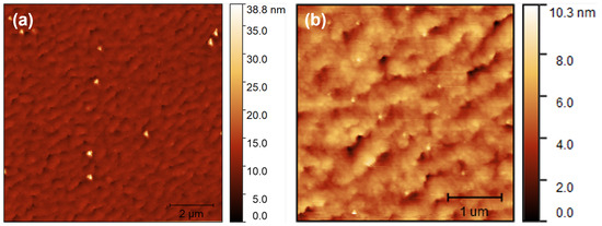 Nanomaterials 12 03571 g0a1