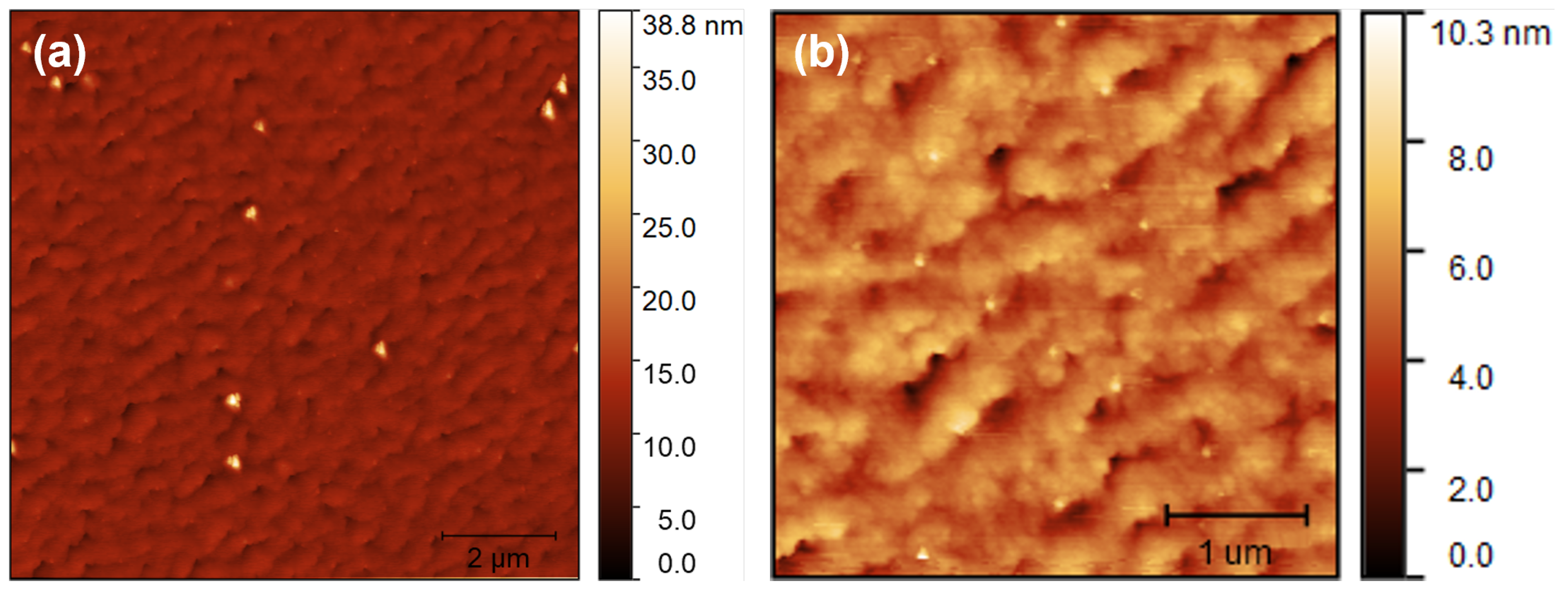 Nanomaterials 12 03571 g0a1