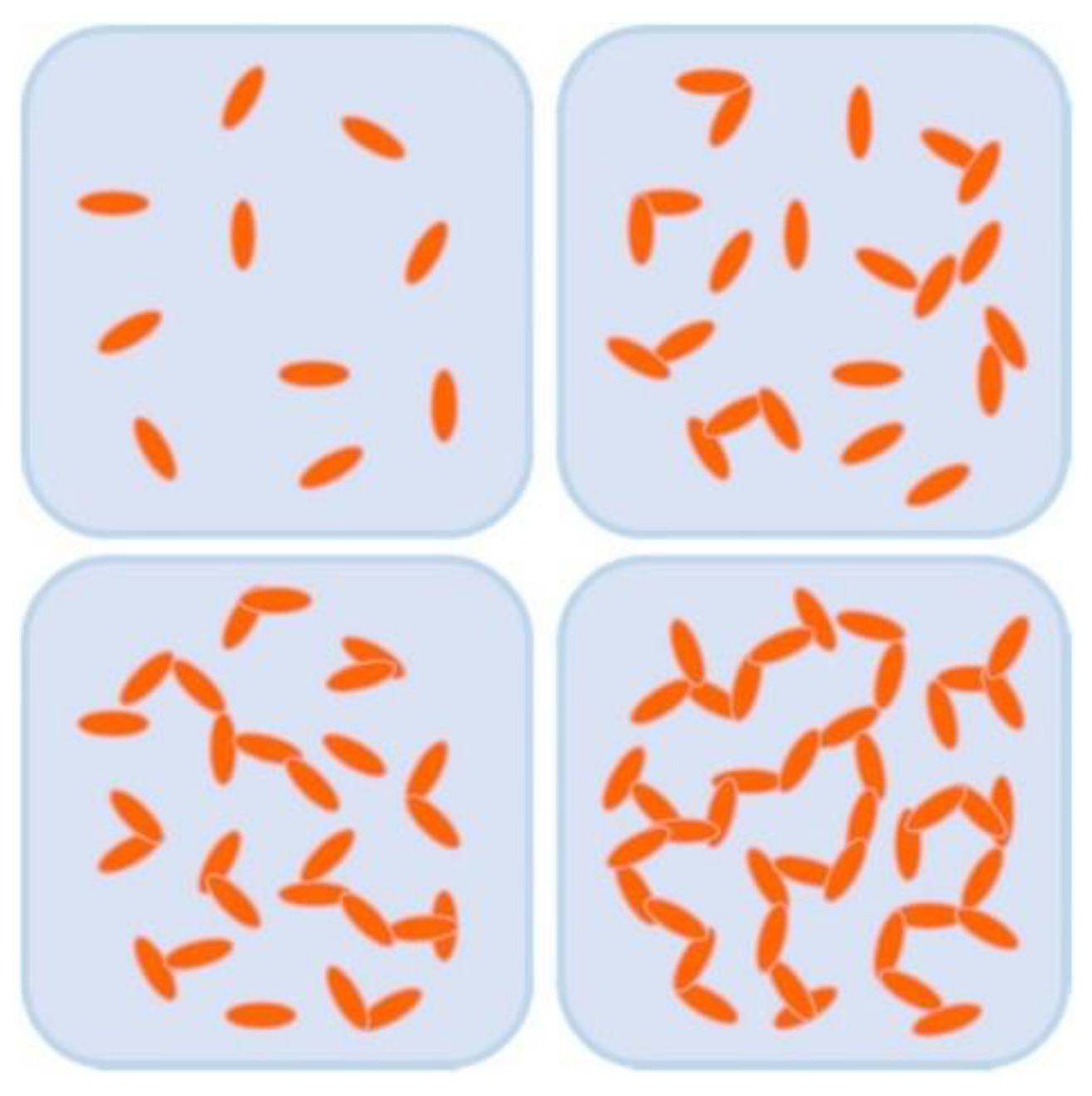 Nanomaterials 12 03574 g001
