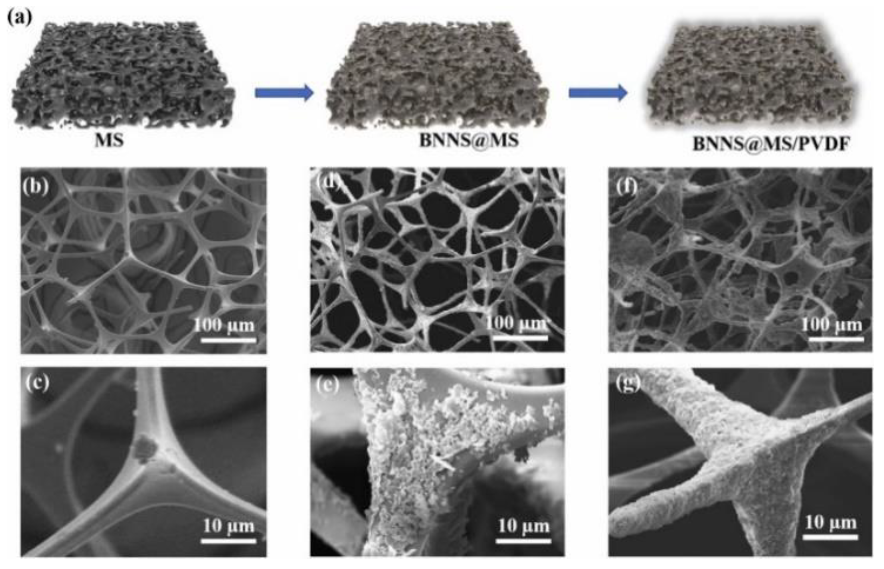 Nanomaterials 12 03574 g013