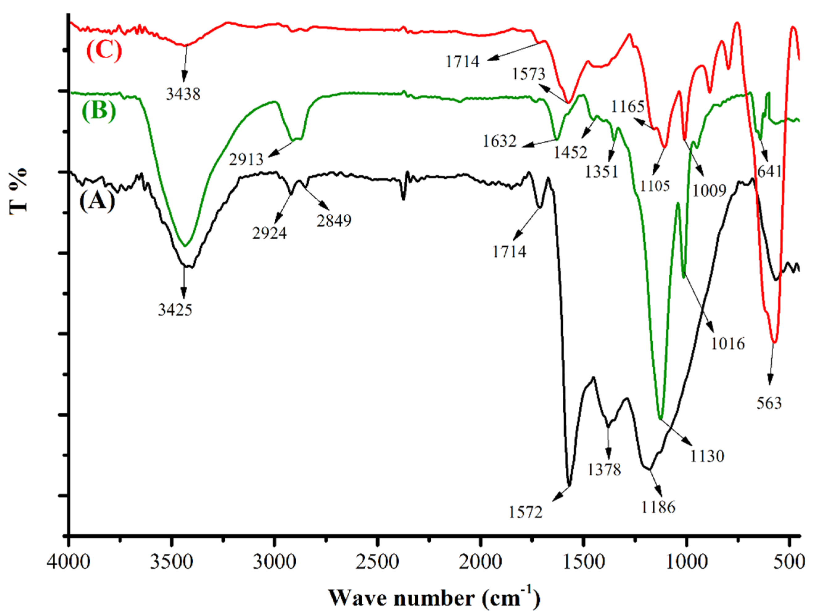 Nanomaterials 12 03576 g001