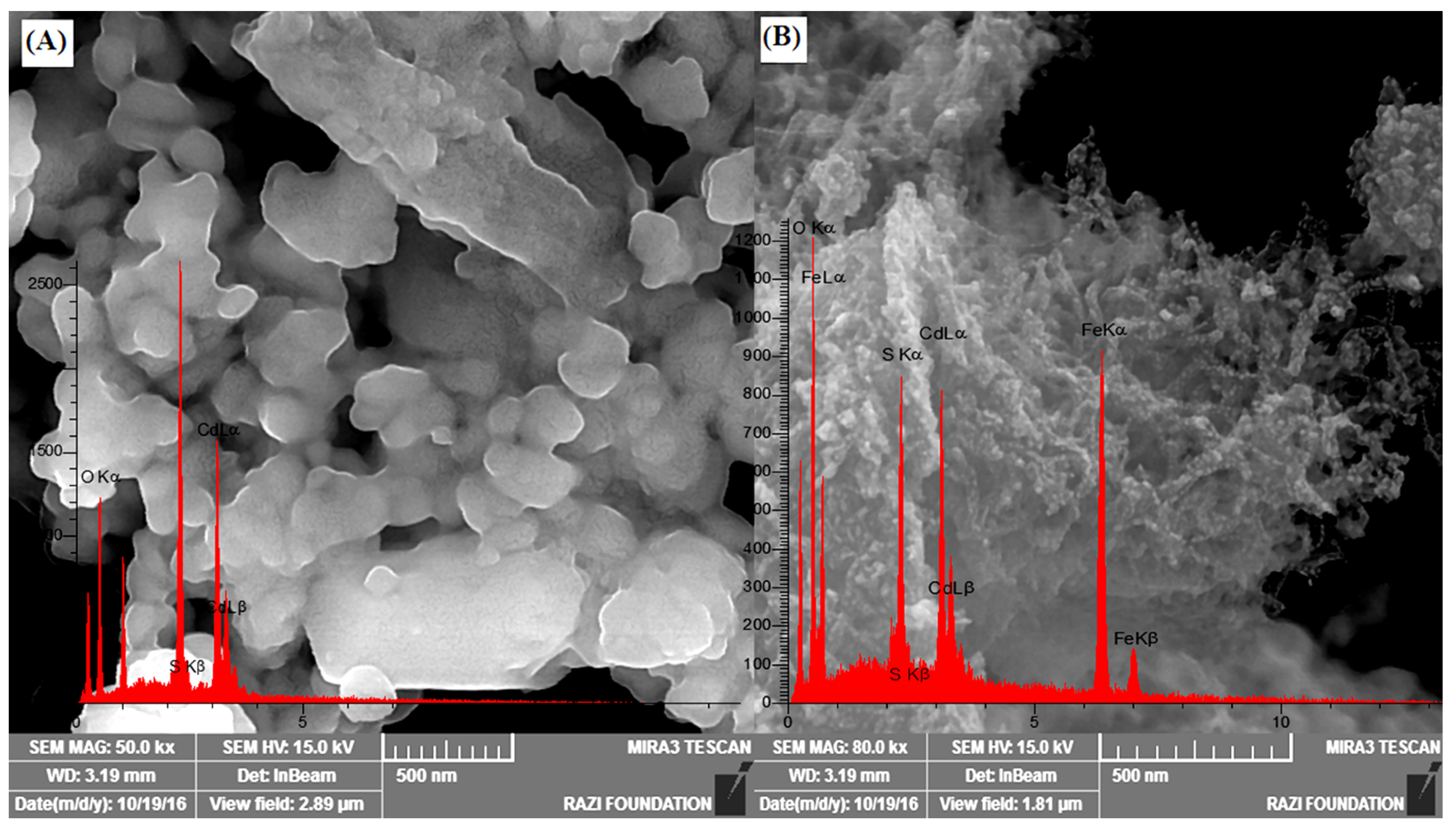 Nanomaterials 12 03576 g002