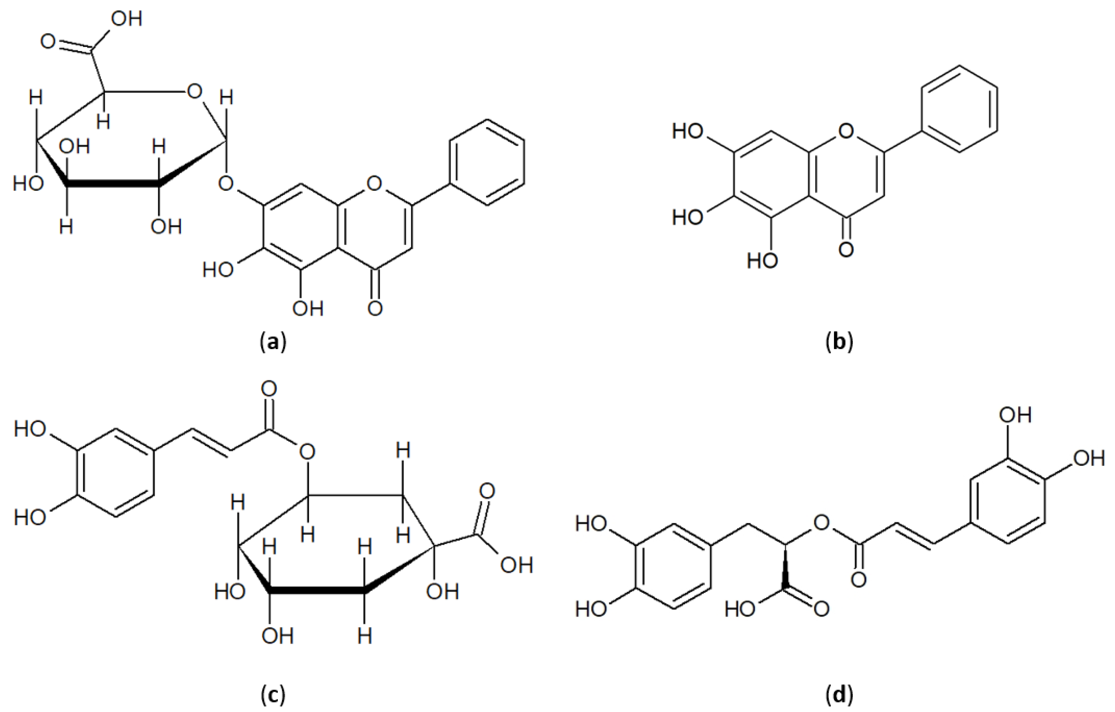 Nanomaterials 12 03588 g001