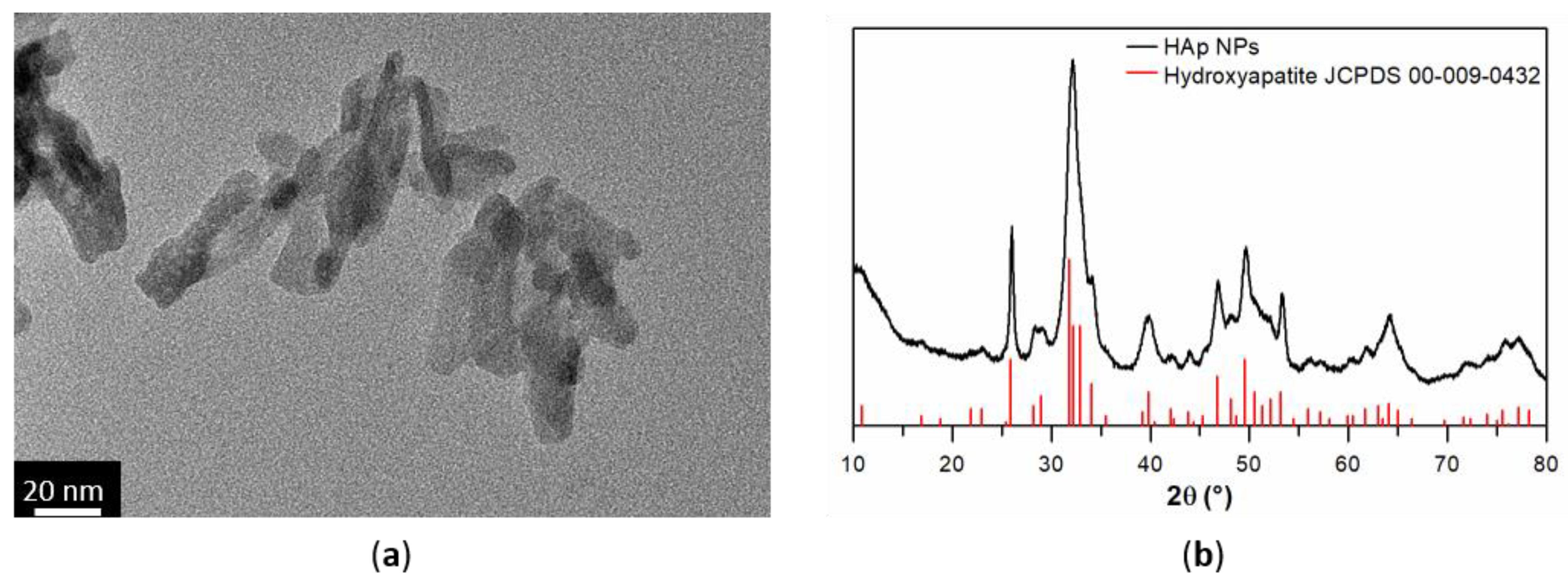 Nanomaterials 12 03588 g002
