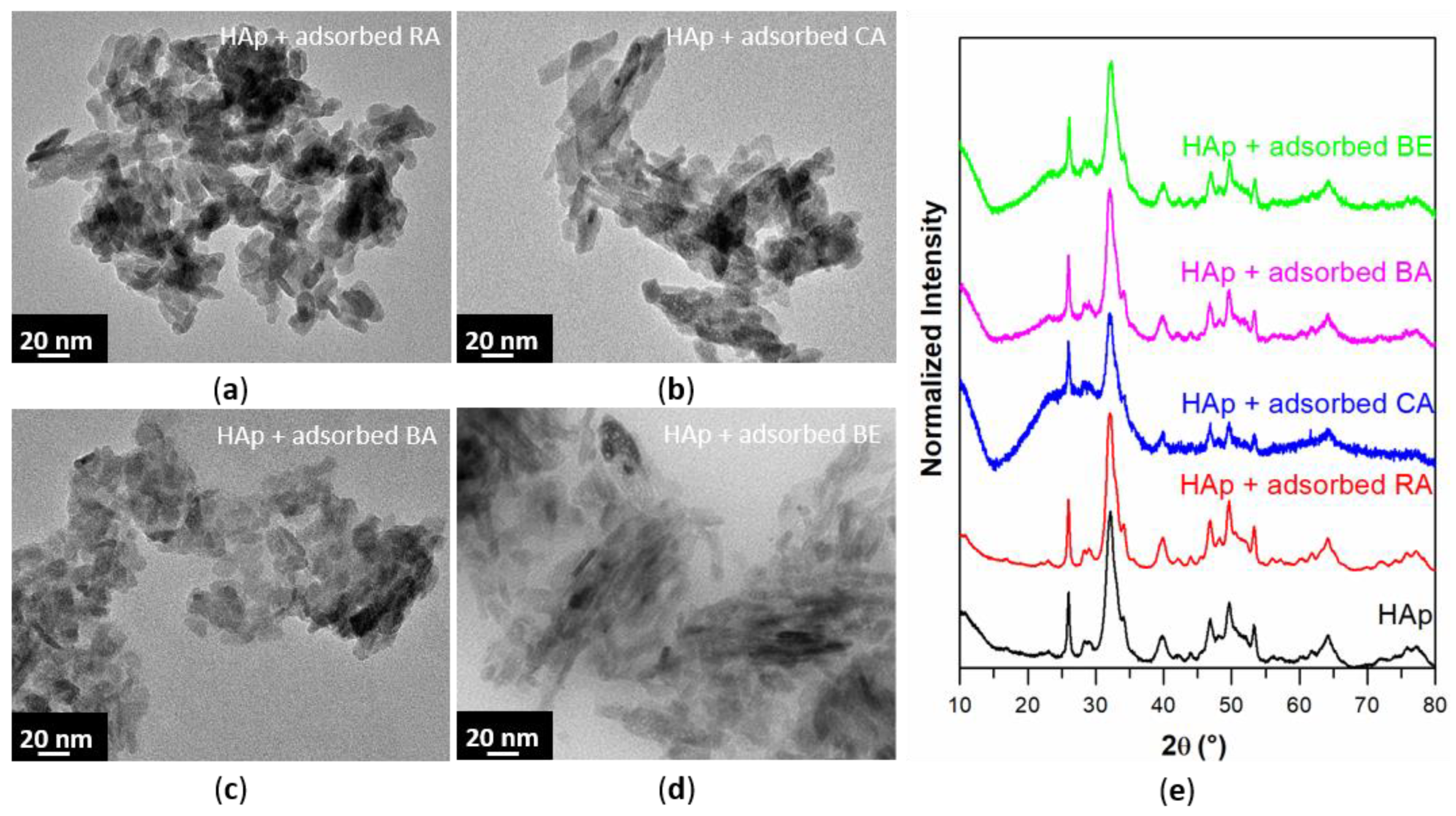 Nanomaterials 12 03588 g003