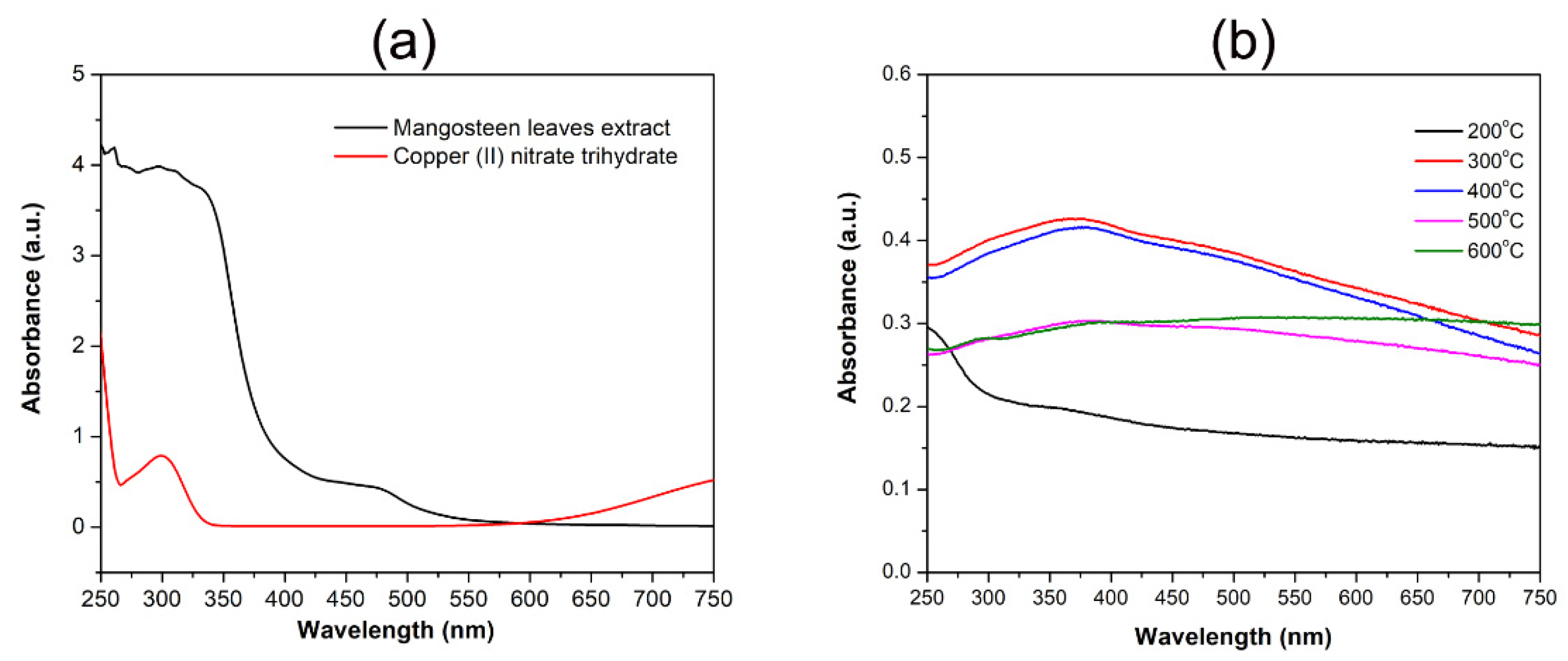 Nanomaterials 12 03589 g001