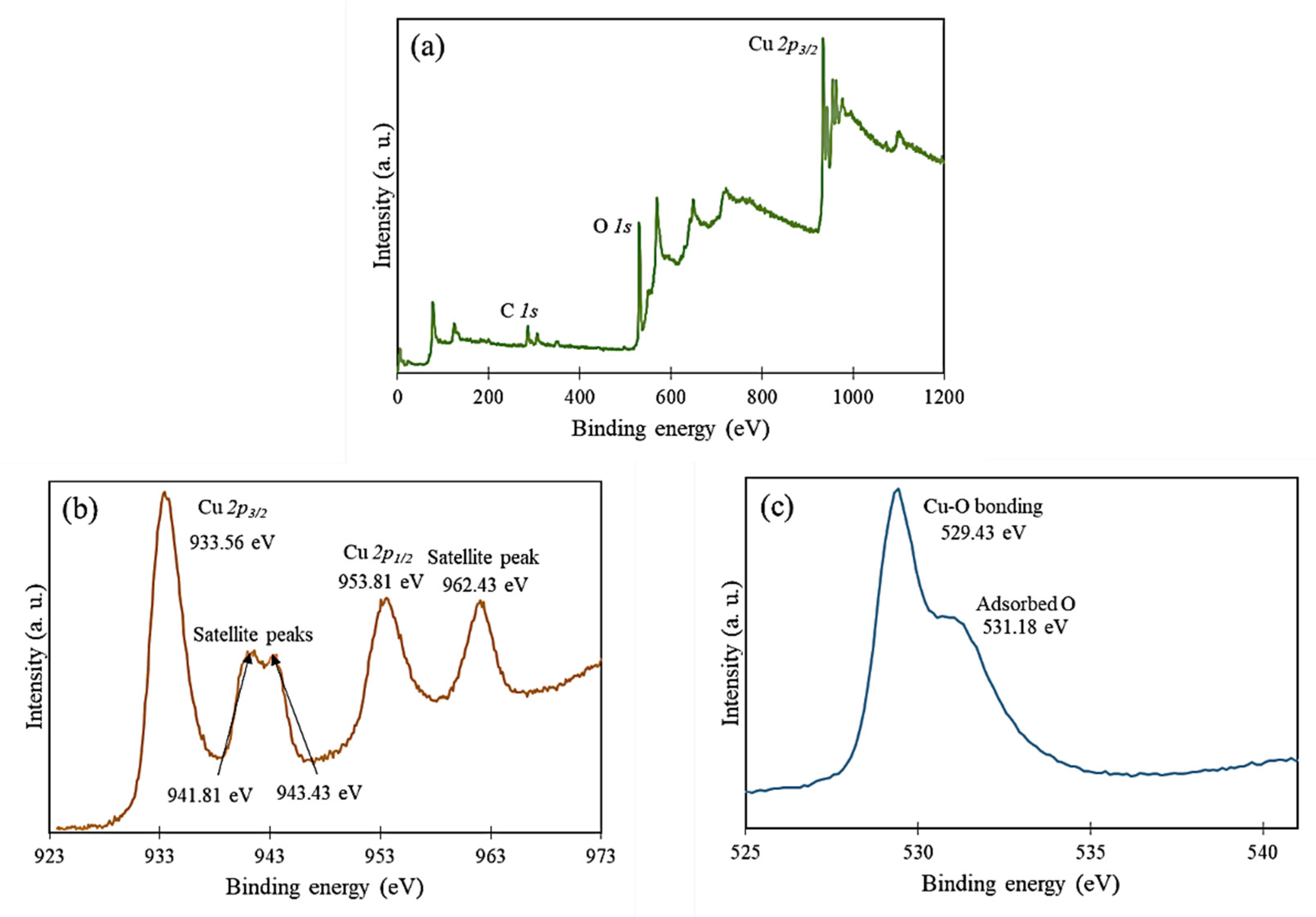 Nanomaterials 12 03589 g006