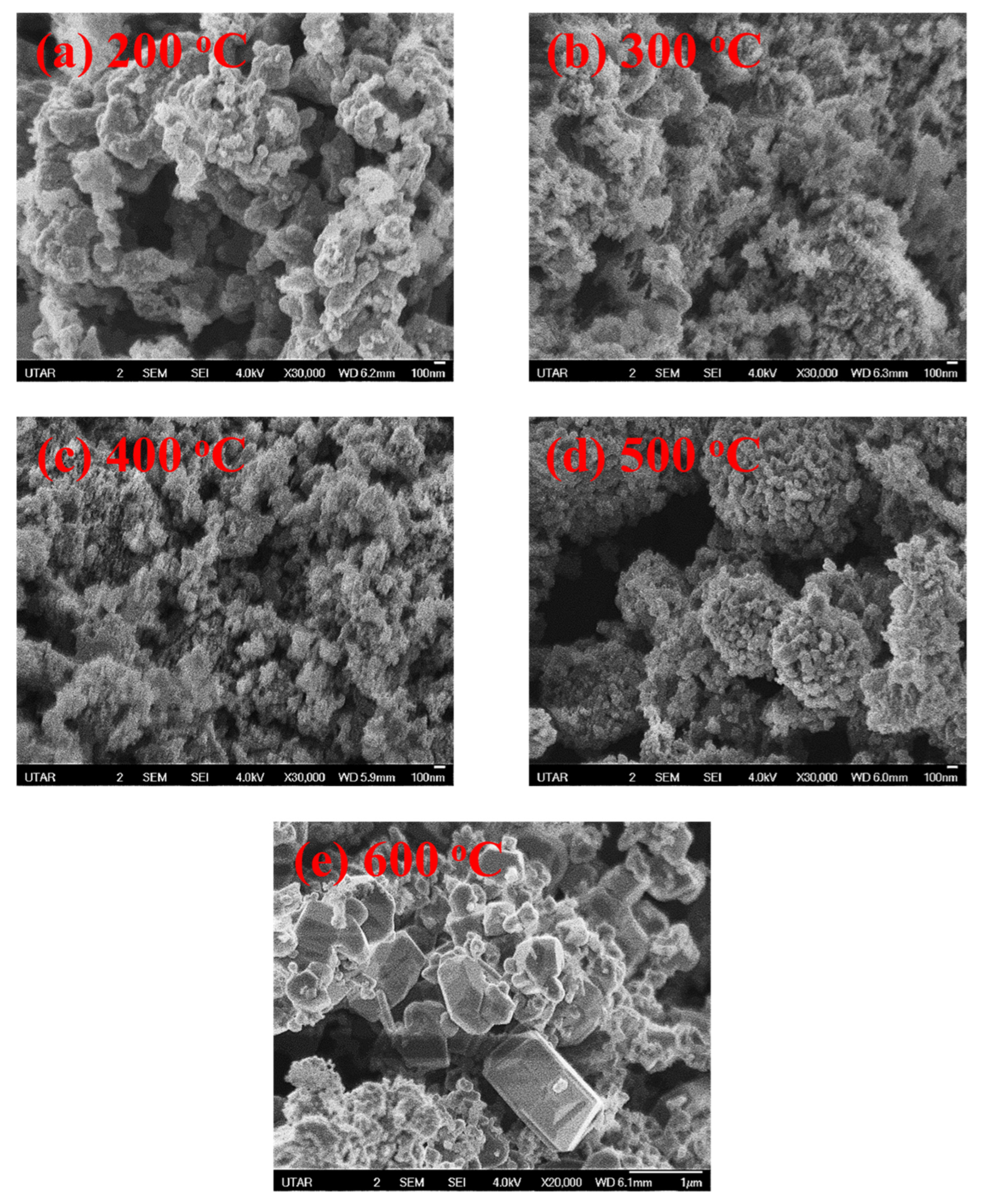 Nanomaterials 12 03589 g007