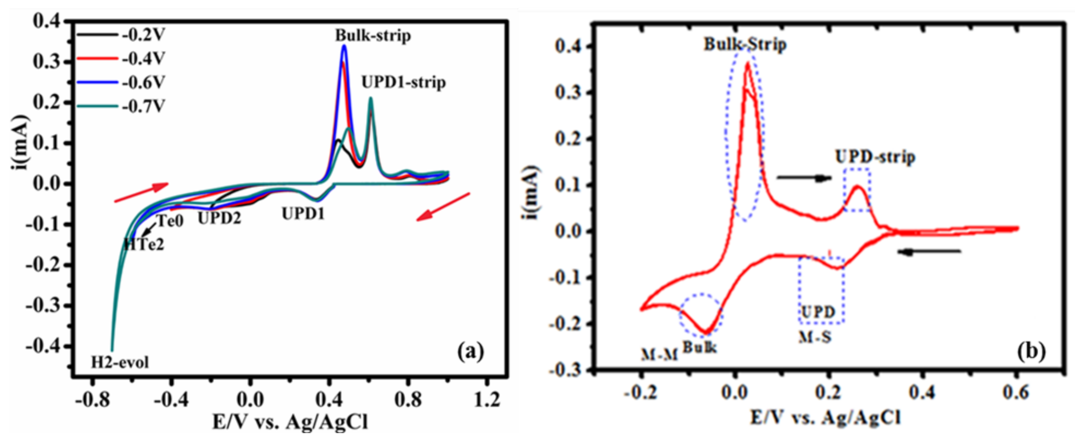 Nanomaterials 12 03607 g001