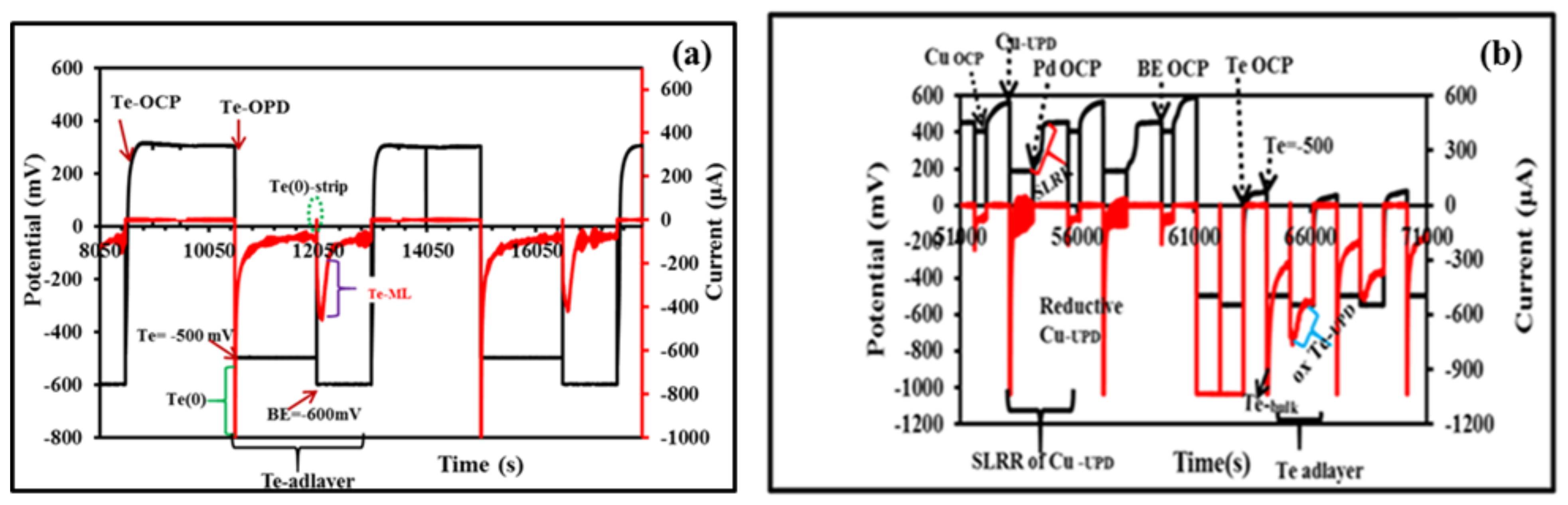 Nanomaterials 12 03607 g002